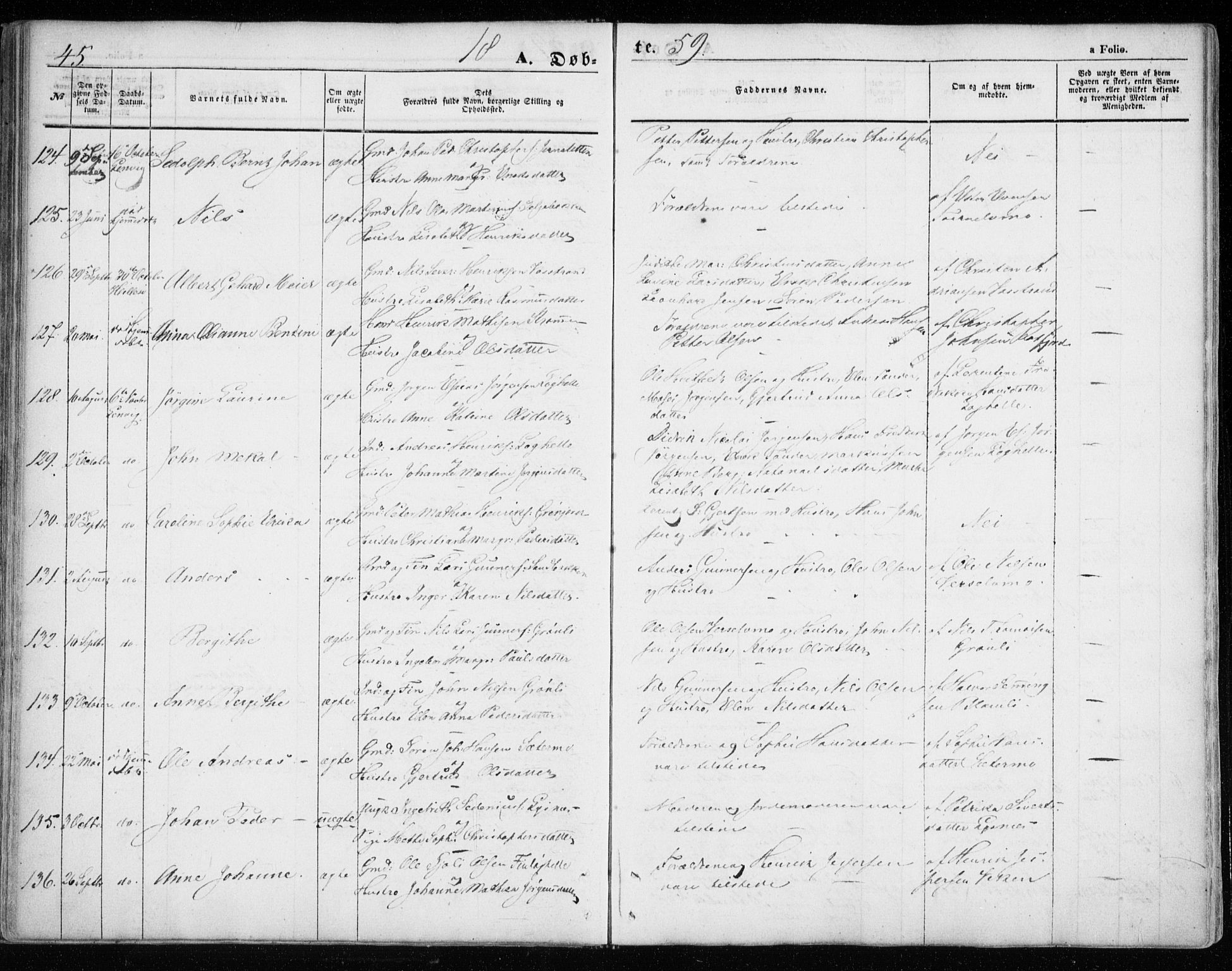 Lenvik sokneprestembete, SATØ/S-1310/H/Ha/Haa/L0007kirke: Parish register (official) no. 7, 1855-1865, p. 45
