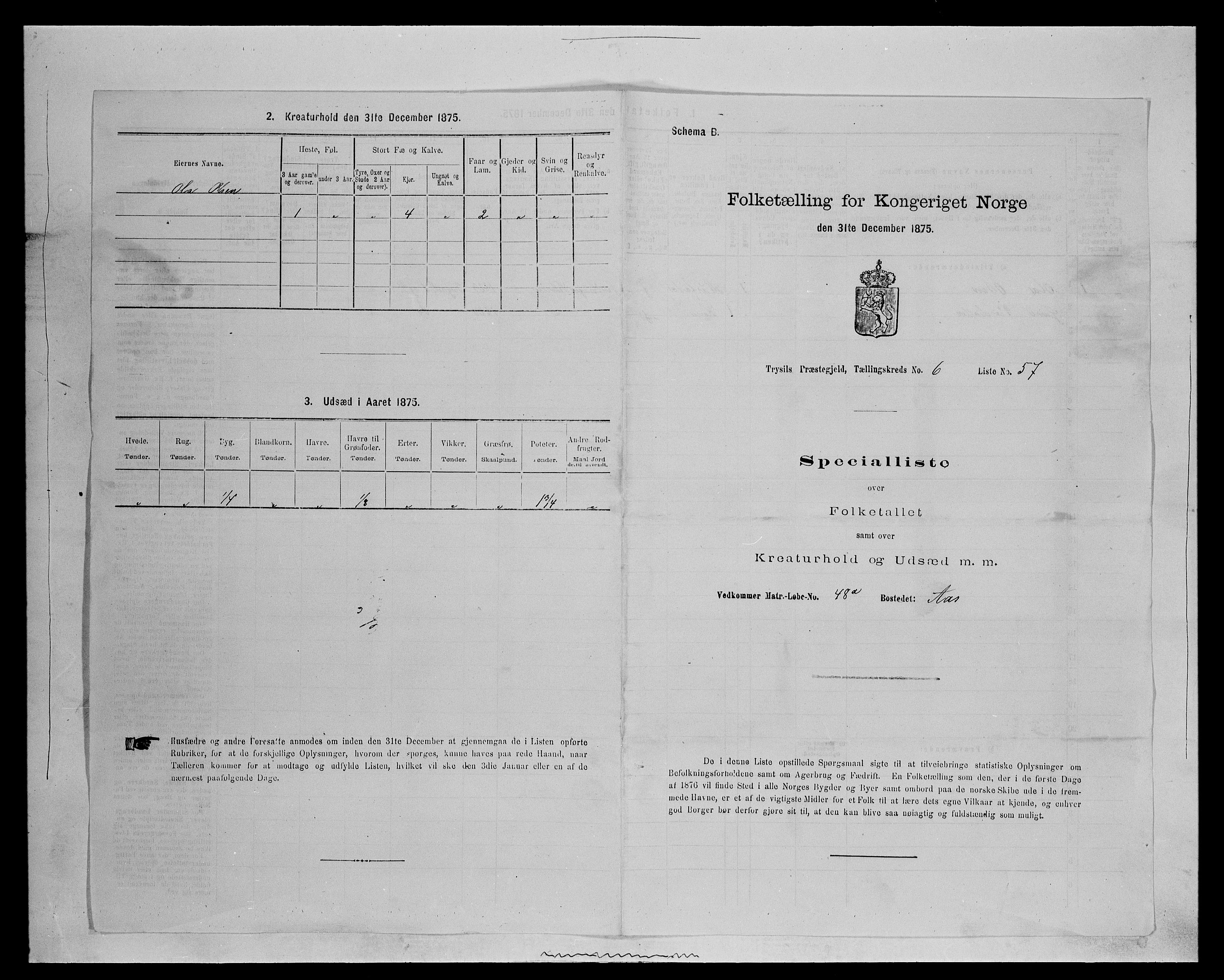 SAH, 1875 census for 0428P Trysil, 1875, p. 833