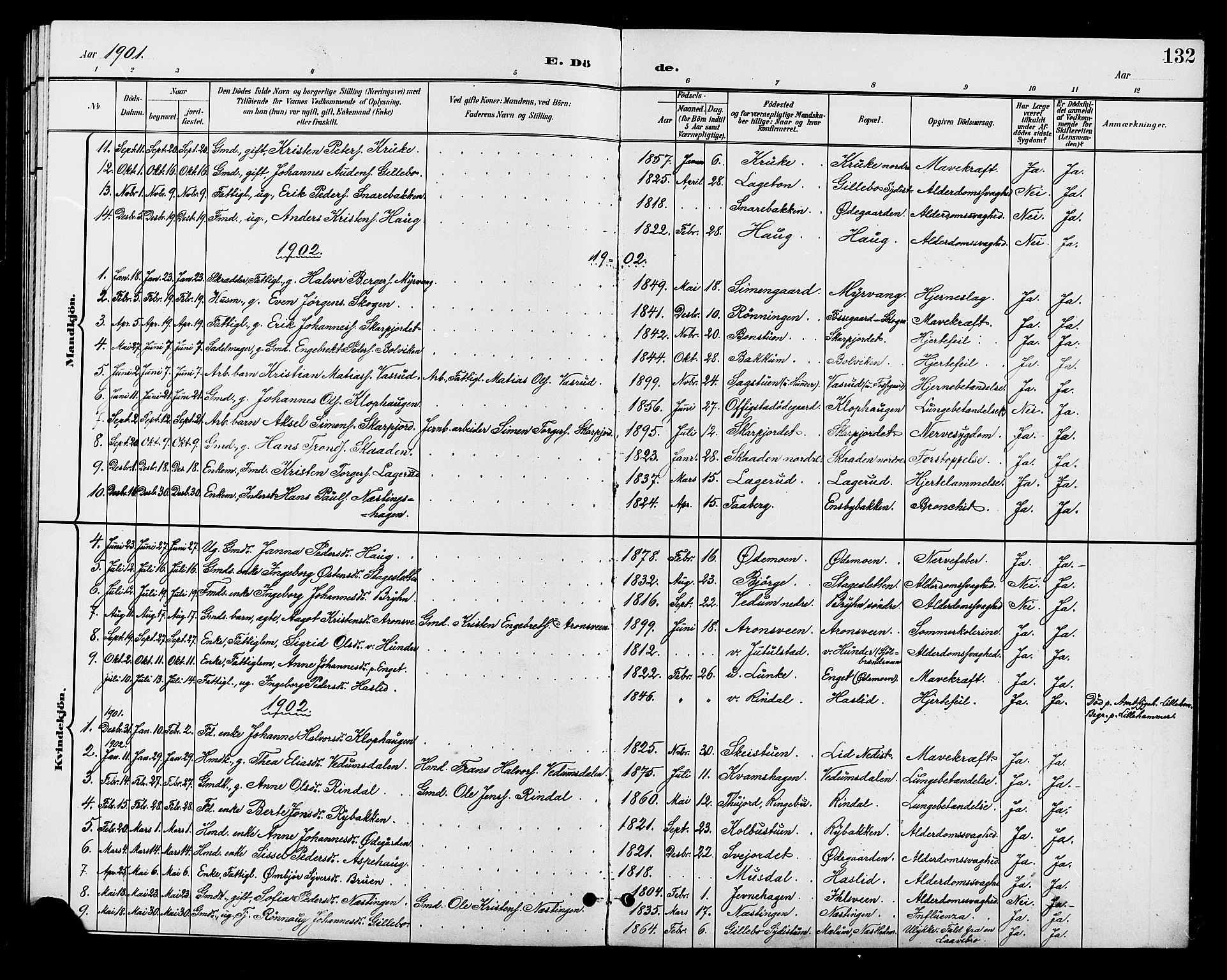 Øyer prestekontor, AV/SAH-PREST-084/H/Ha/Hab/L0005: Parish register (copy) no. 5, 1897-1913, p. 132