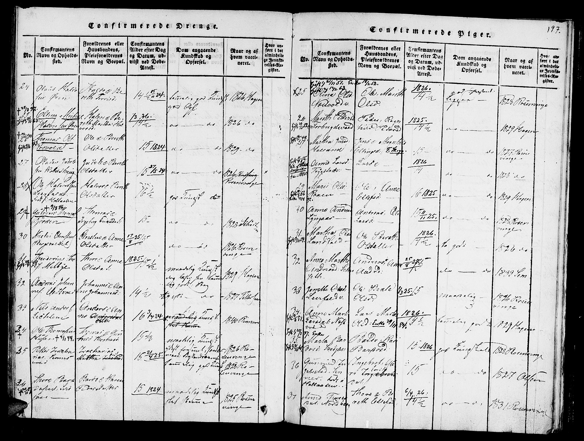 Ministerialprotokoller, klokkerbøker og fødselsregistre - Nord-Trøndelag, AV/SAT-A-1458/723/L0234: Parish register (official) no. 723A05 /1, 1816-1840, p. 197