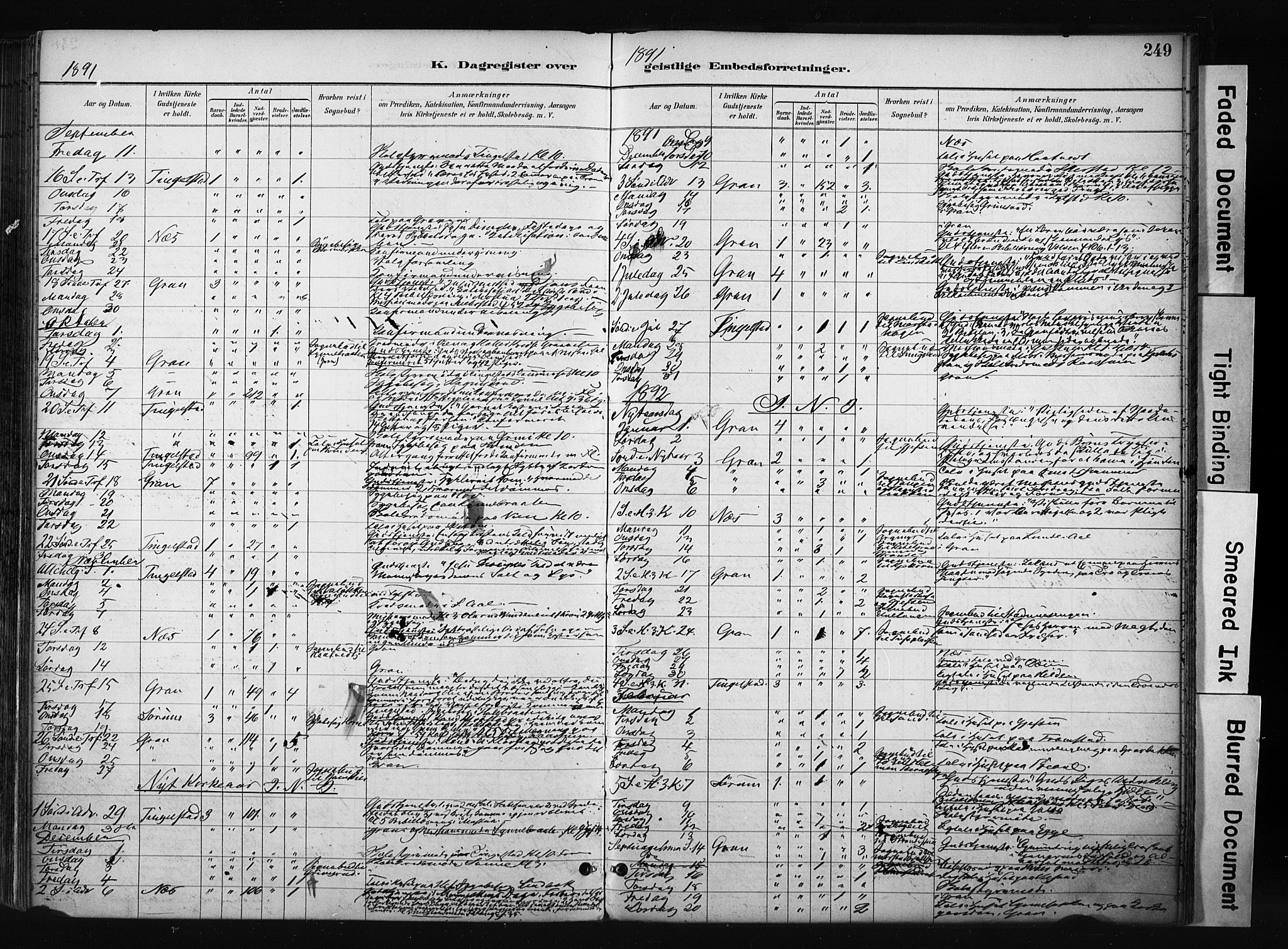 Gran prestekontor, SAH/PREST-112/H/Ha/Haa/L0017: Parish register (official) no. 17, 1889-1897, p. 249