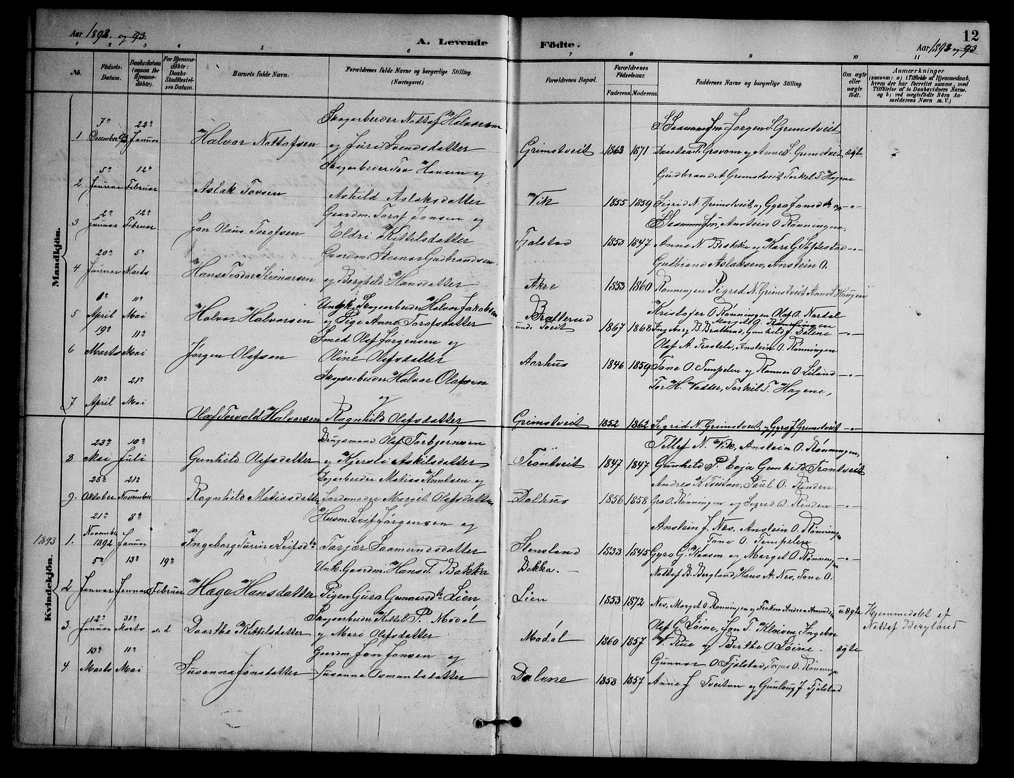 Nissedal kirkebøker, SAKO/A-288/G/Ga/L0003: Parish register (copy) no. I 3, 1887-1911, p. 12