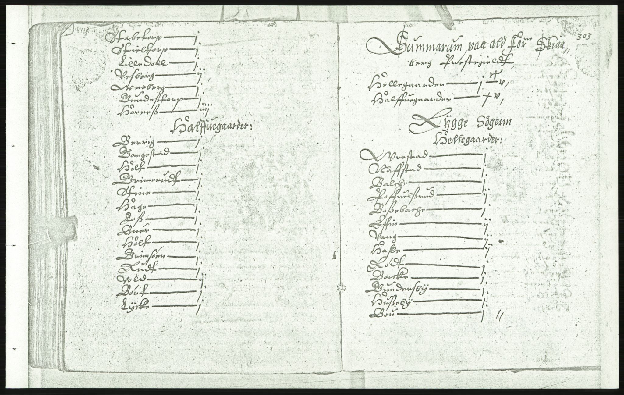 Manuskriptsamlingen, AV/RA-EA-3667/F/L0175d: Kopi av Universitetsbiblioteket, manuskript kvarto nr. 503, Manntall på fulle og halve og ødegårder uti Oslo og Hamar stift anno 1602, IV Nedre Romerike, Midtre og Øvre Borgesyssel, 1602, p. 302b-303a