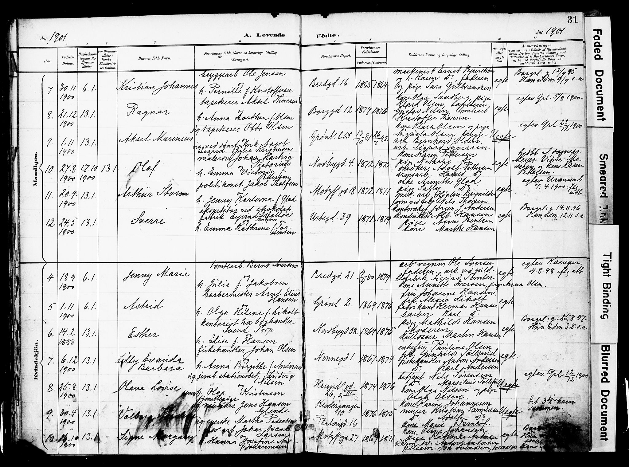 Grønland prestekontor Kirkebøker, AV/SAO-A-10848/F/Fa/L0014: Parish register (official) no. 14, 1900-1911, p. 31