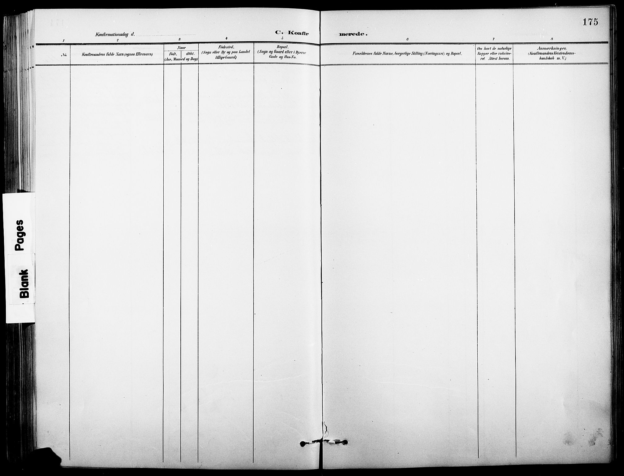 Vinger prestekontor, AV/SAH-PREST-024/H/Ha/Hab/L0004: Parish register (copy) no. 4, 1895-1920, p. 175