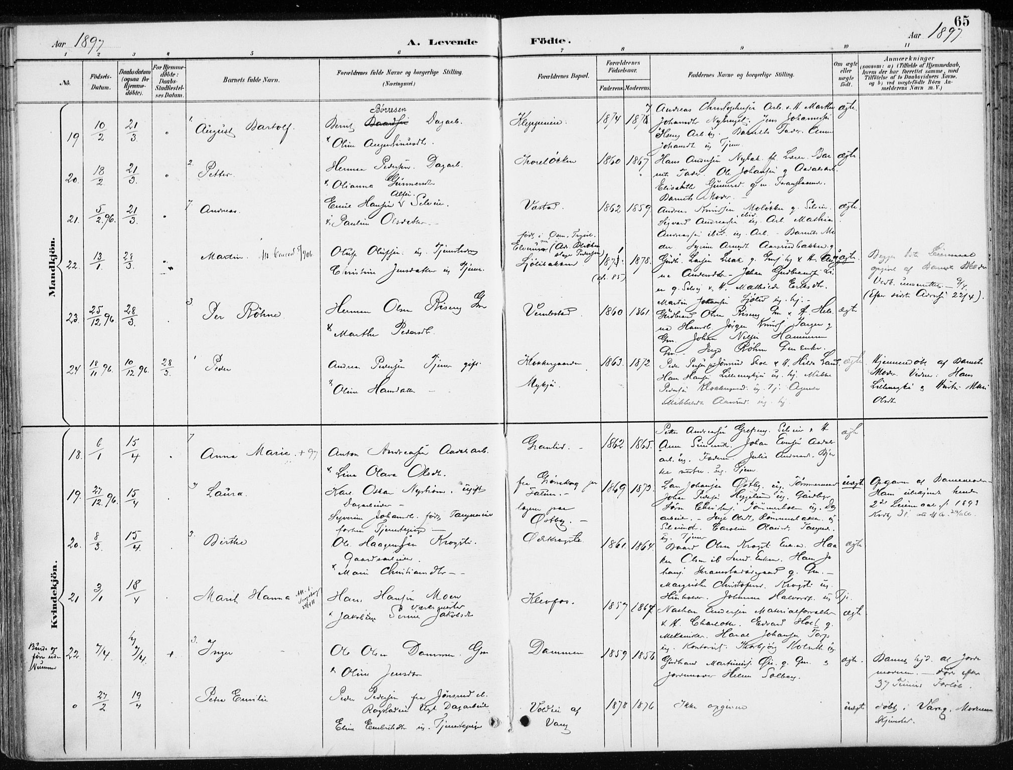 Løten prestekontor, AV/SAH-PREST-022/K/Ka/L0010: Parish register (official) no. 10, 1892-1907, p. 65
