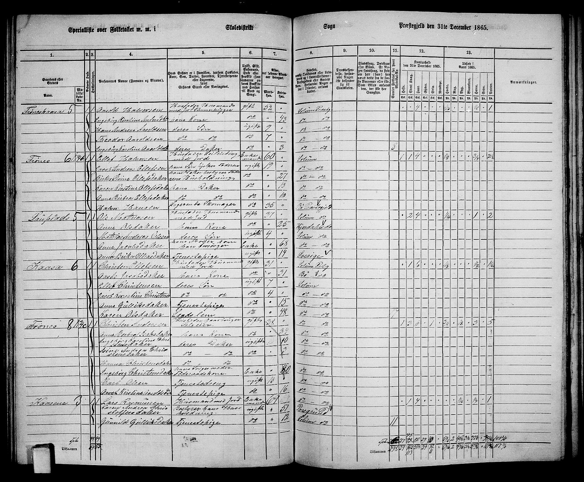 RA, 1865 census for Solum, 1865, p. 145