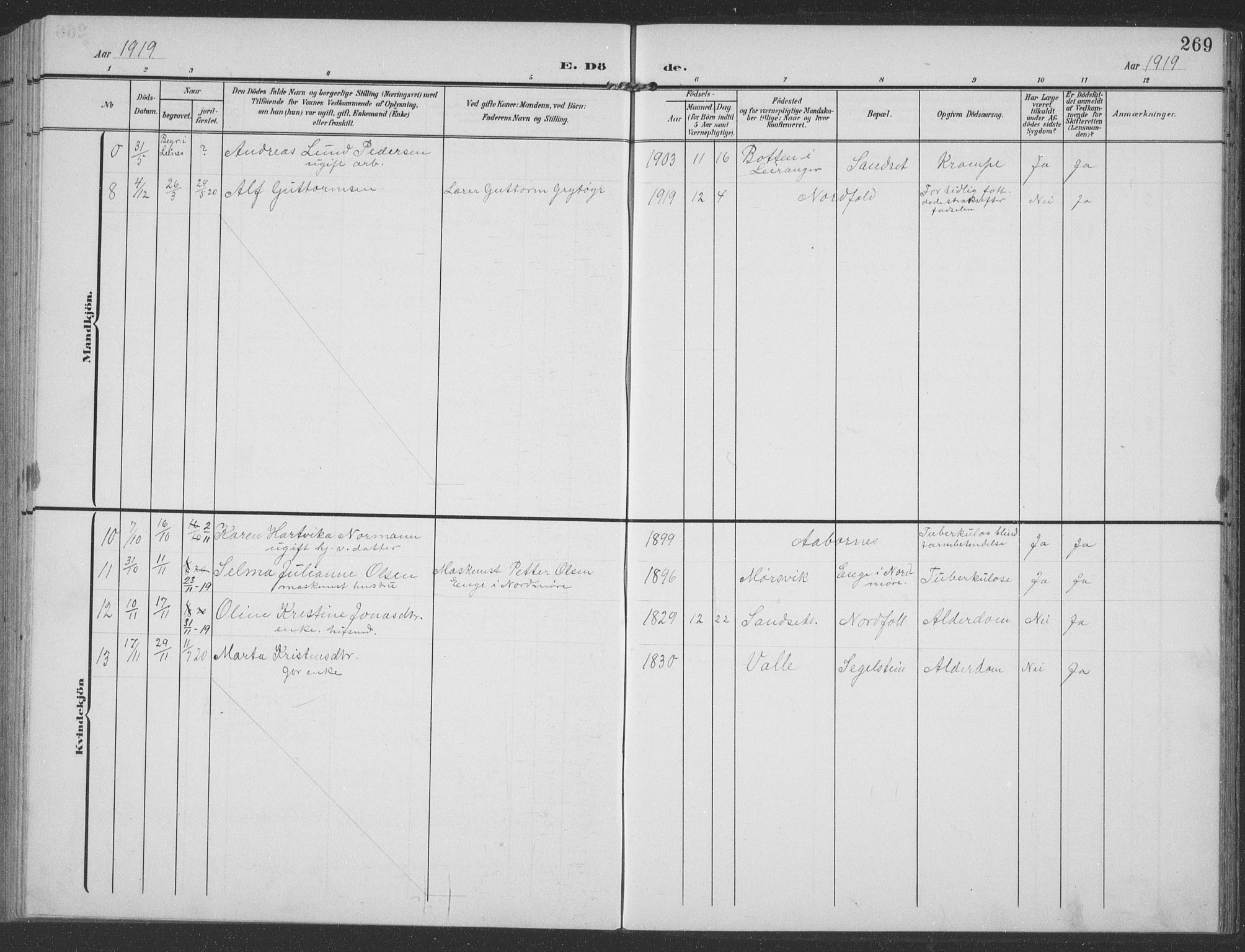 Ministerialprotokoller, klokkerbøker og fødselsregistre - Nordland, AV/SAT-A-1459/858/L0835: Parish register (copy) no. 858C02, 1904-1940, p. 269