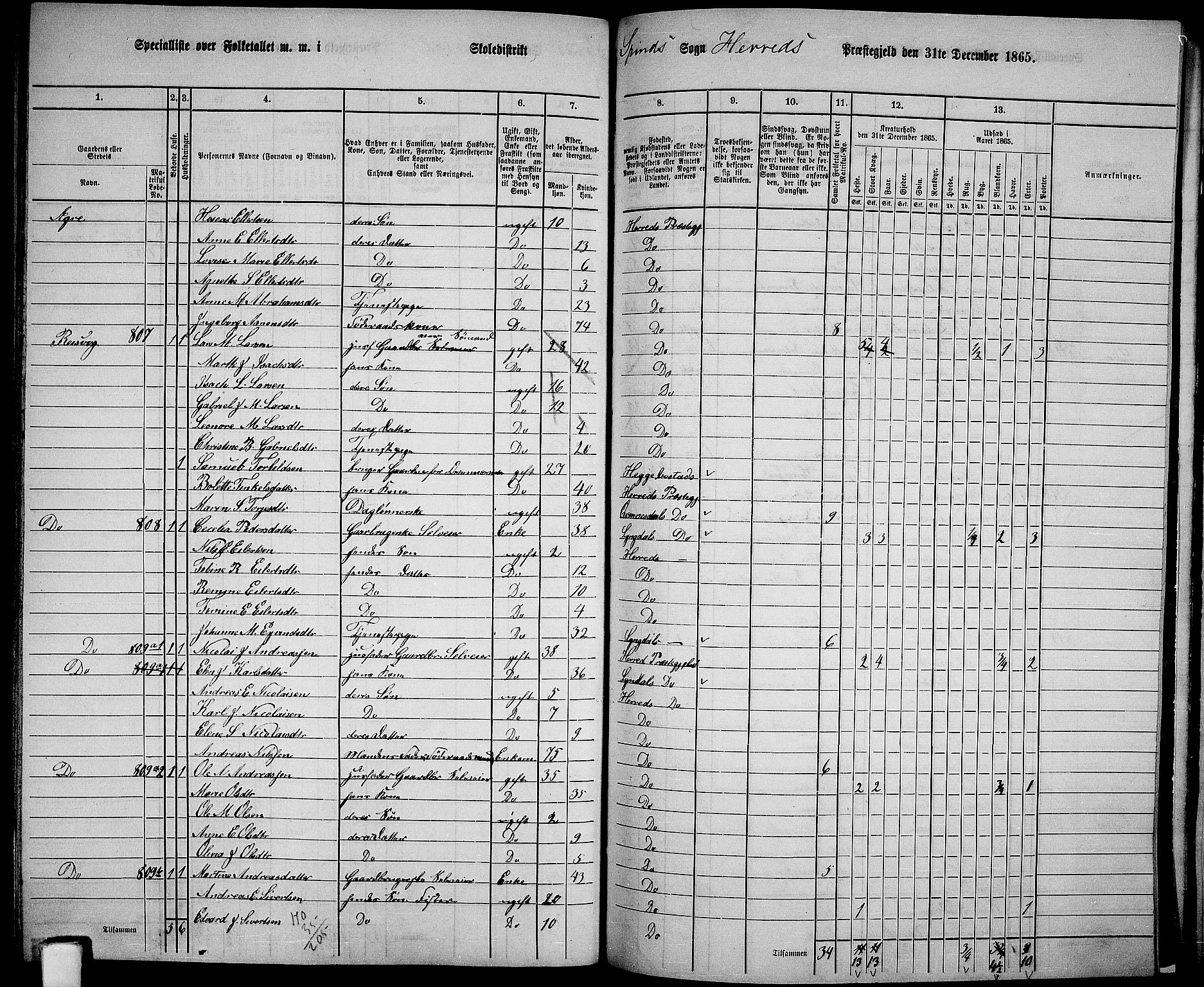 RA, 1865 census for Herad, 1865, p. 80