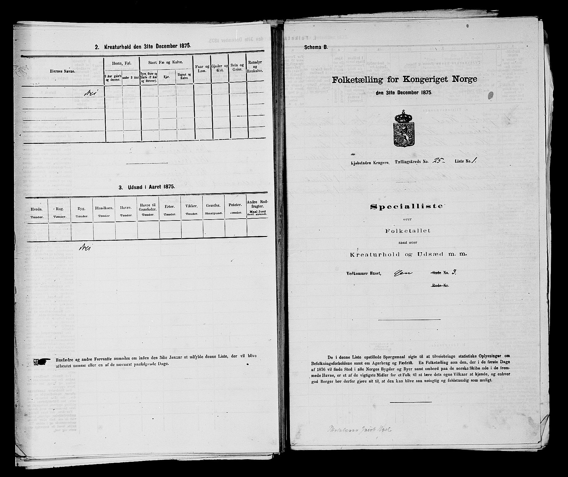 SAKO, 1875 census for 0801P Kragerø, 1875, p. 536