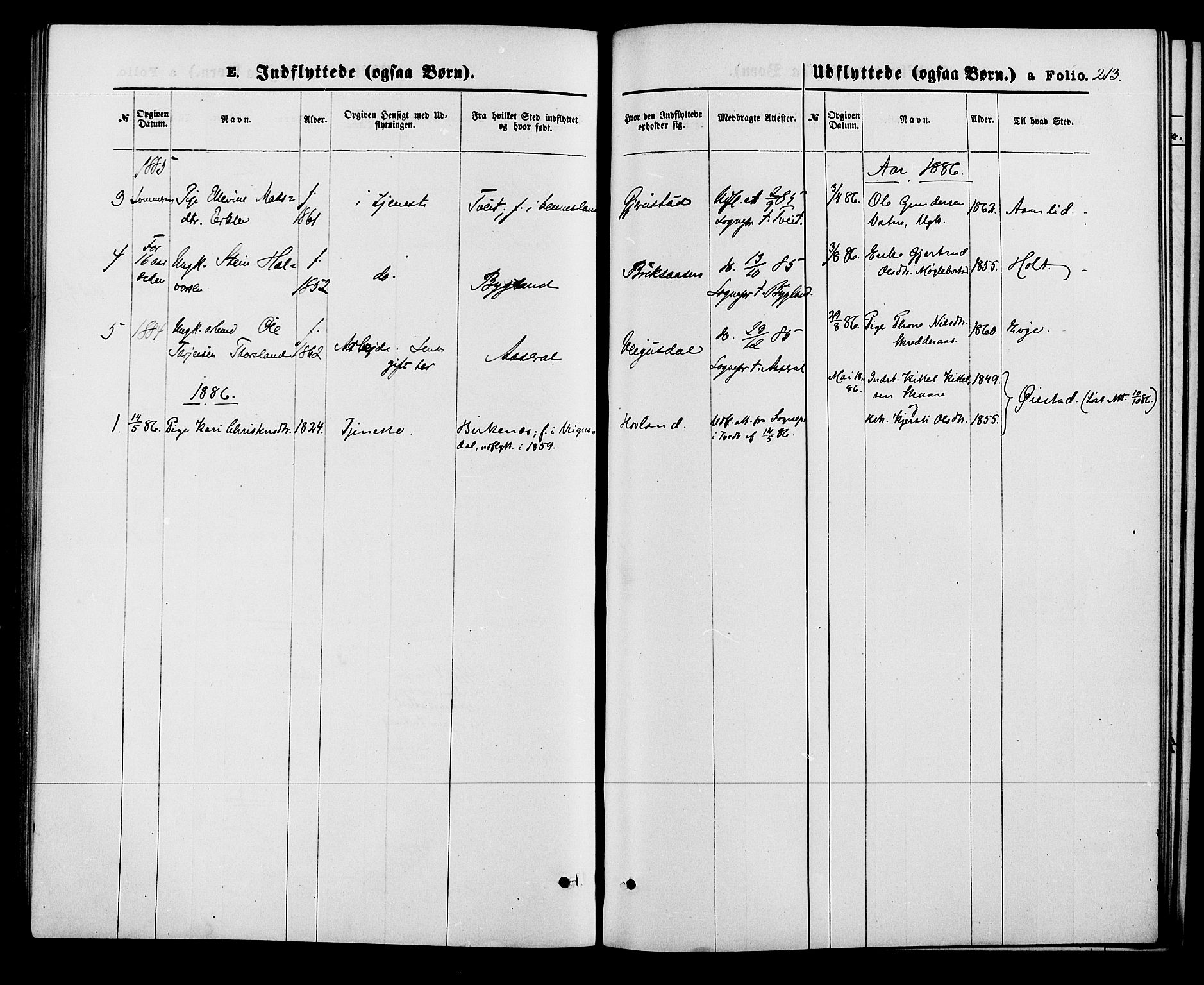 Herefoss sokneprestkontor, SAK/1111-0019/F/Fa/Fab/L0003: Parish register (official) no. A 3, 1875-1886, p. 213