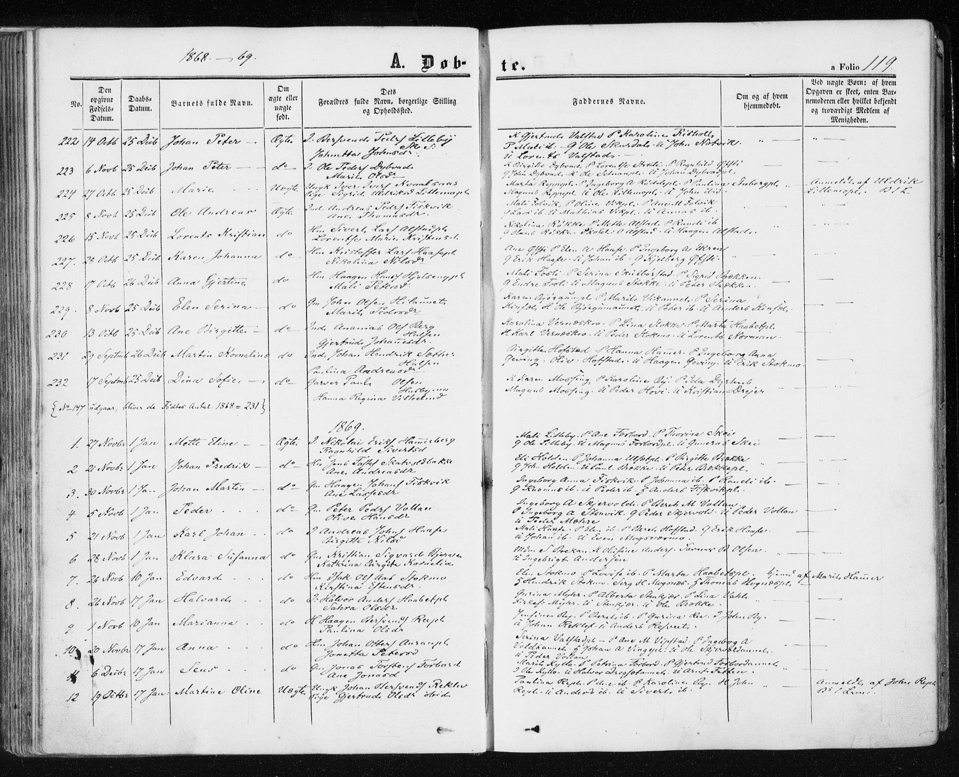 Ministerialprotokoller, klokkerbøker og fødselsregistre - Nord-Trøndelag, SAT/A-1458/709/L0075: Parish register (official) no. 709A15, 1859-1870, p. 119