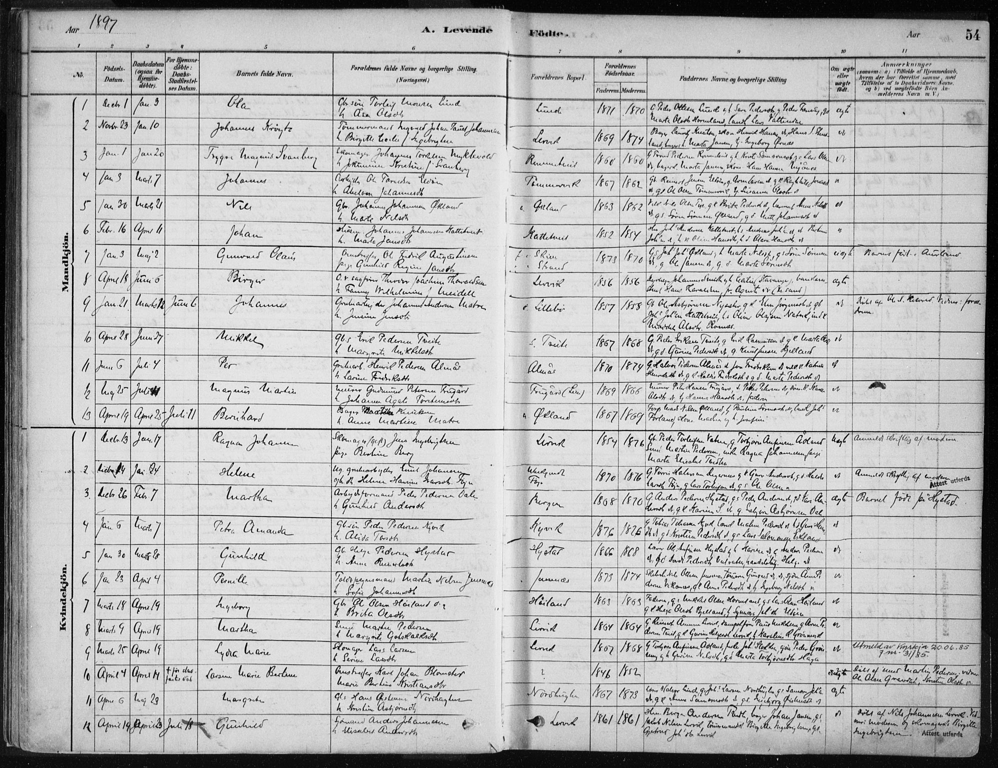 Stord sokneprestembete, AV/SAB-A-78201/H/Haa: Parish register (official) no. B 2, 1878-1913, p. 54