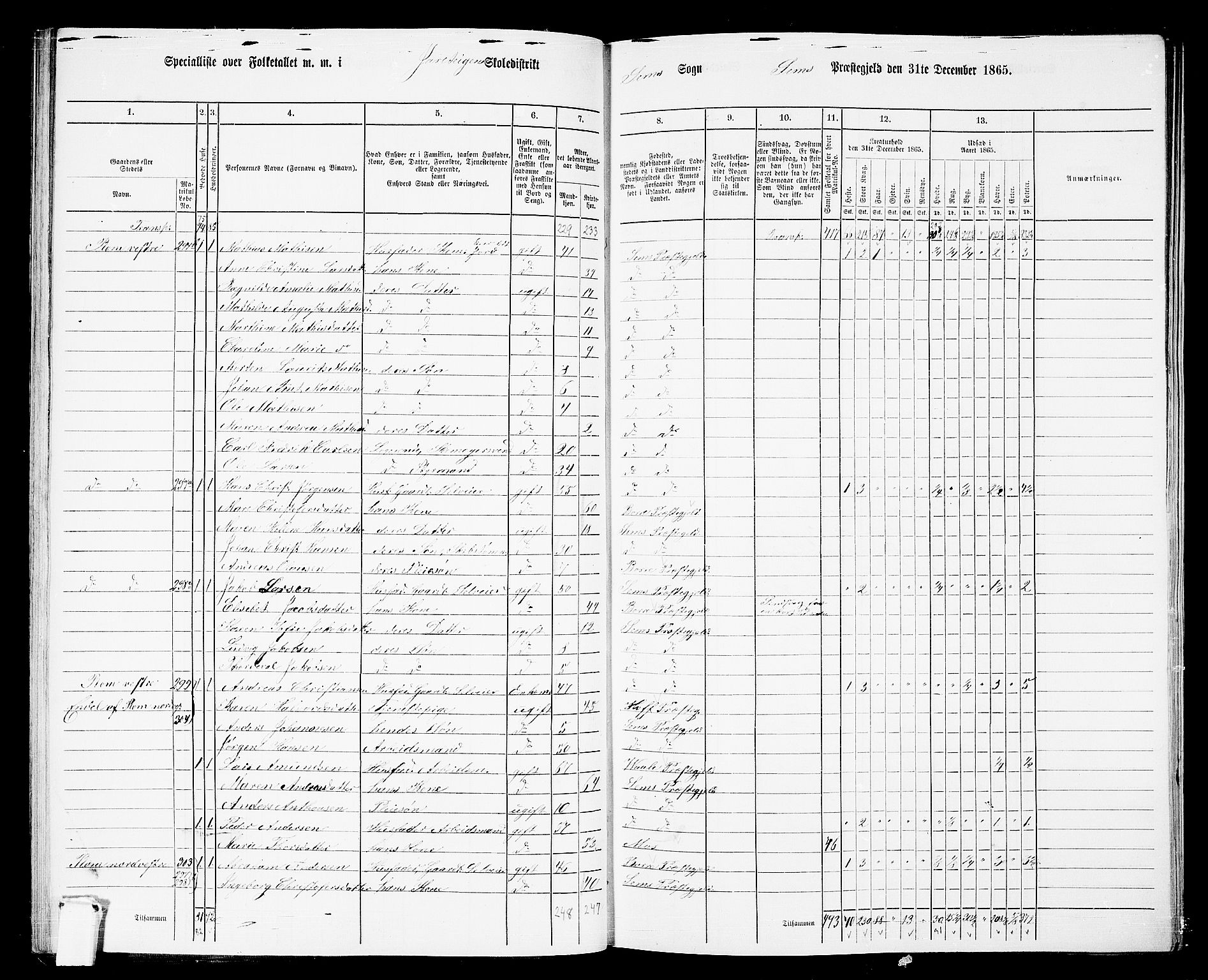 RA, 1865 census for Sem, 1865, p. 88