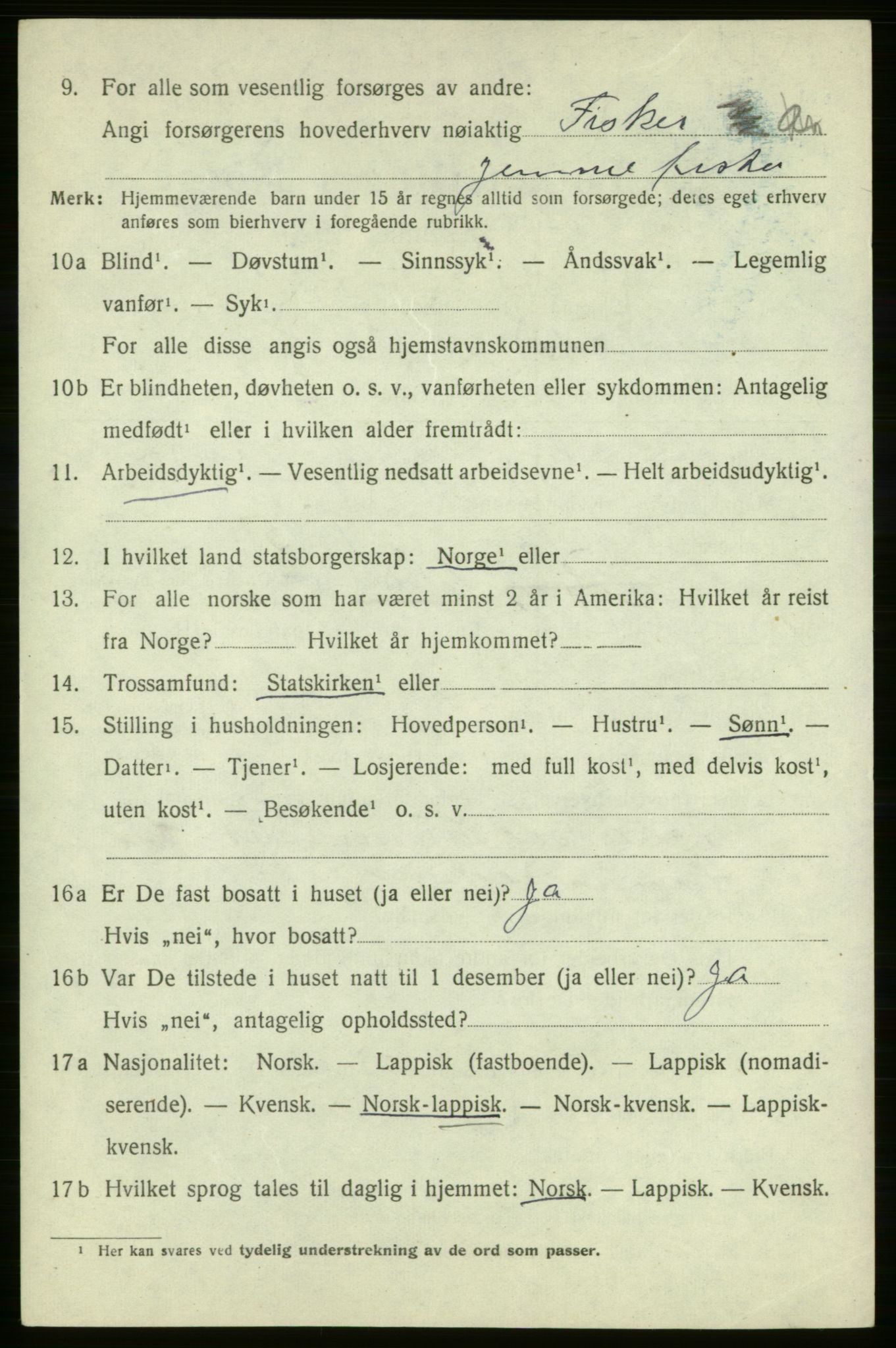 SATØ, 1920 census for , 1920, p. 493