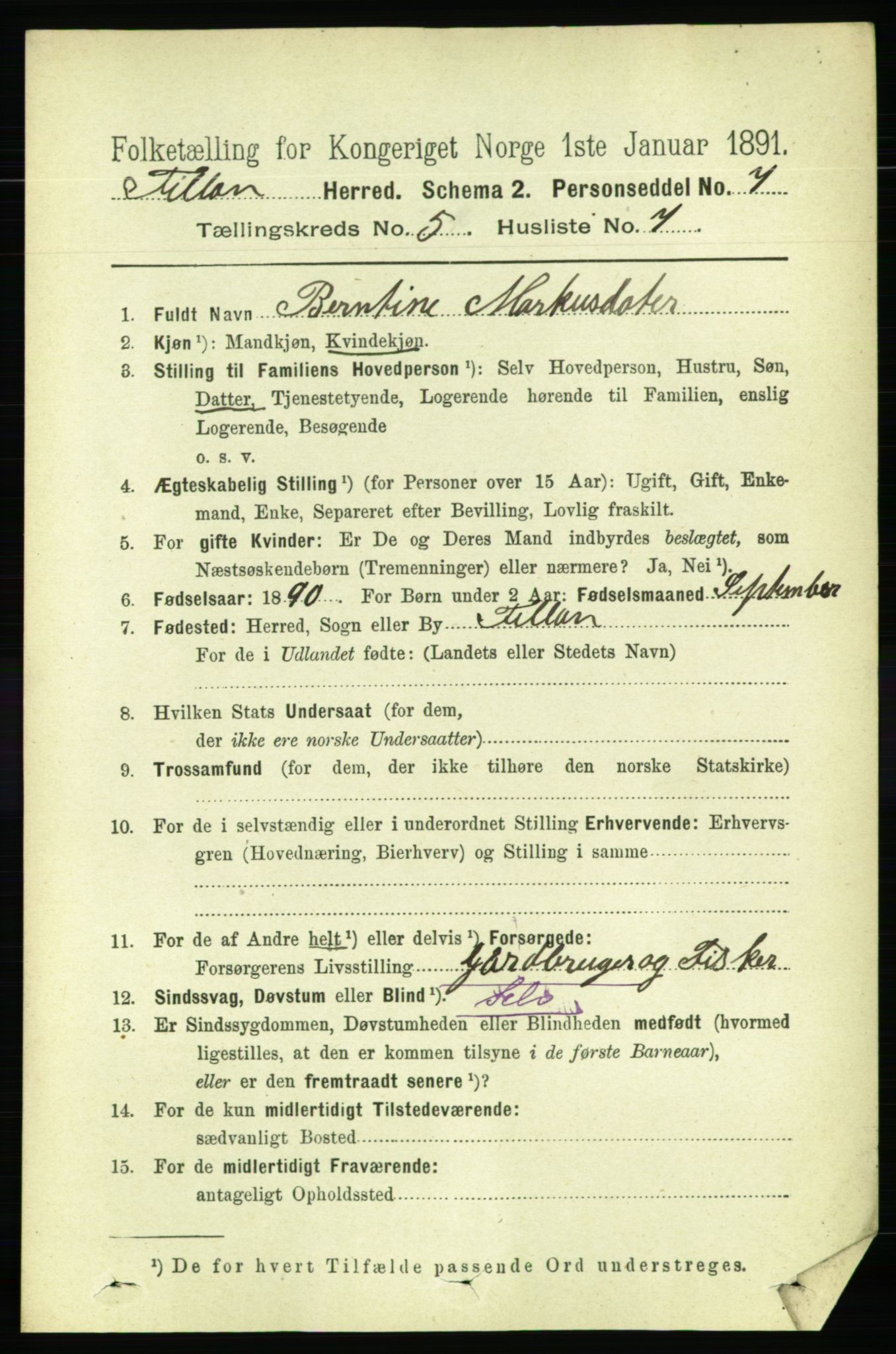 RA, 1891 census for 1616 Fillan, 1891, p. 1038