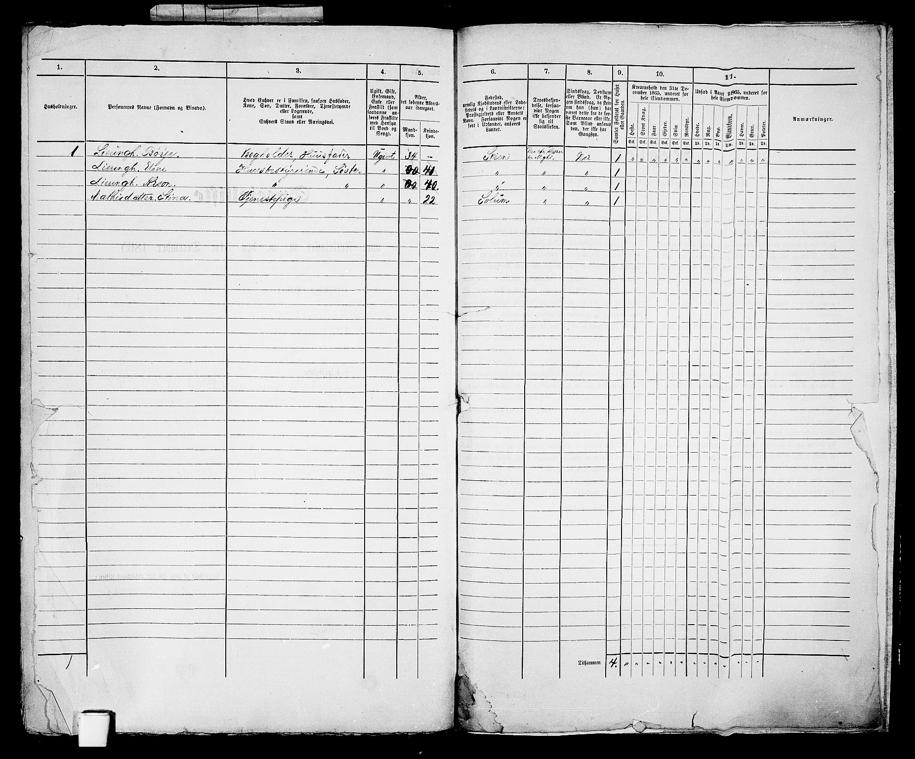 RA, 1865 census for Skien, 1865, p. 1261