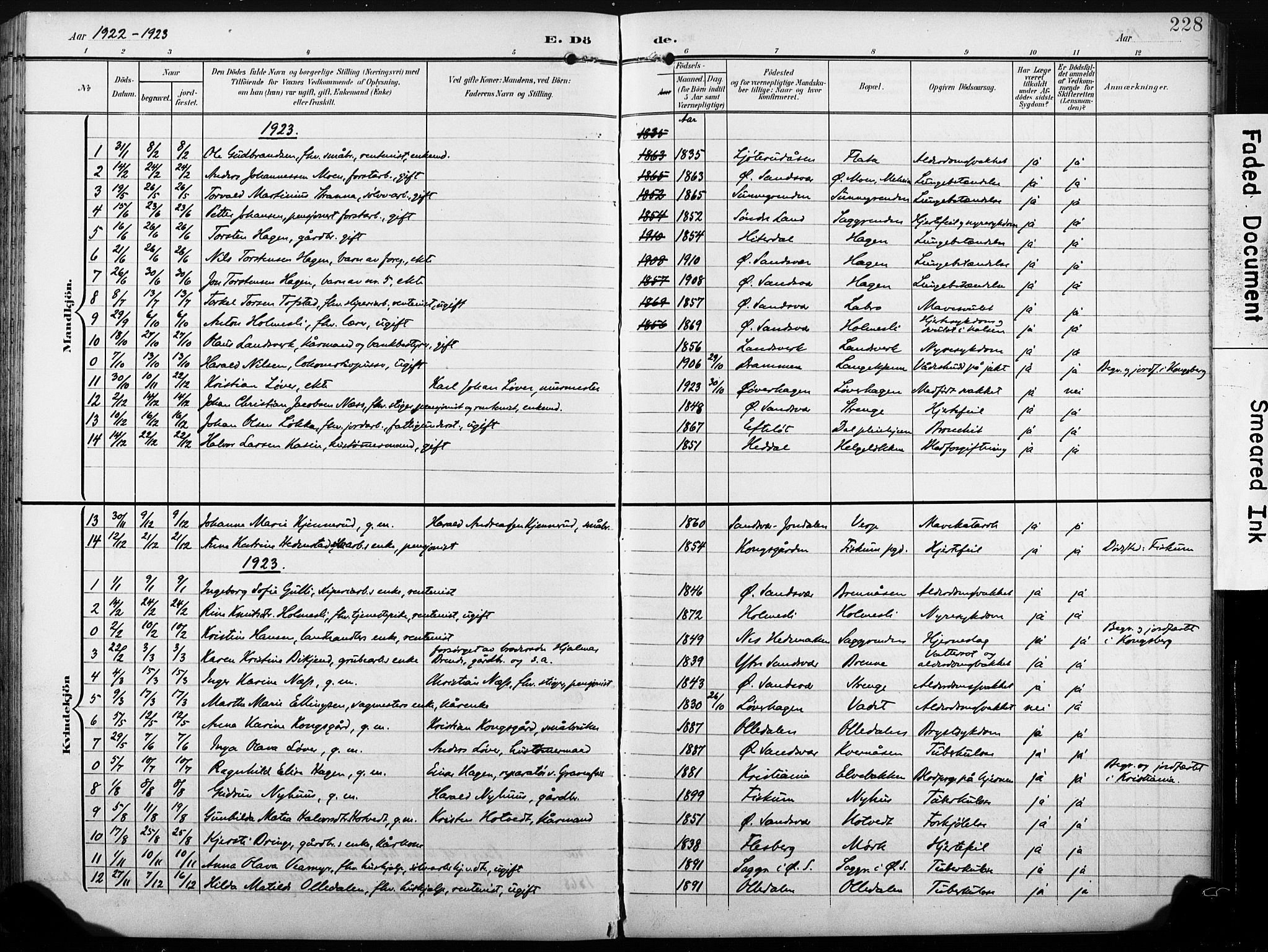 Sandsvær kirkebøker, AV/SAKO-A-244/G/Gd/L0004a: Parish register (copy) no. IV 4A, 1901-1932, p. 228