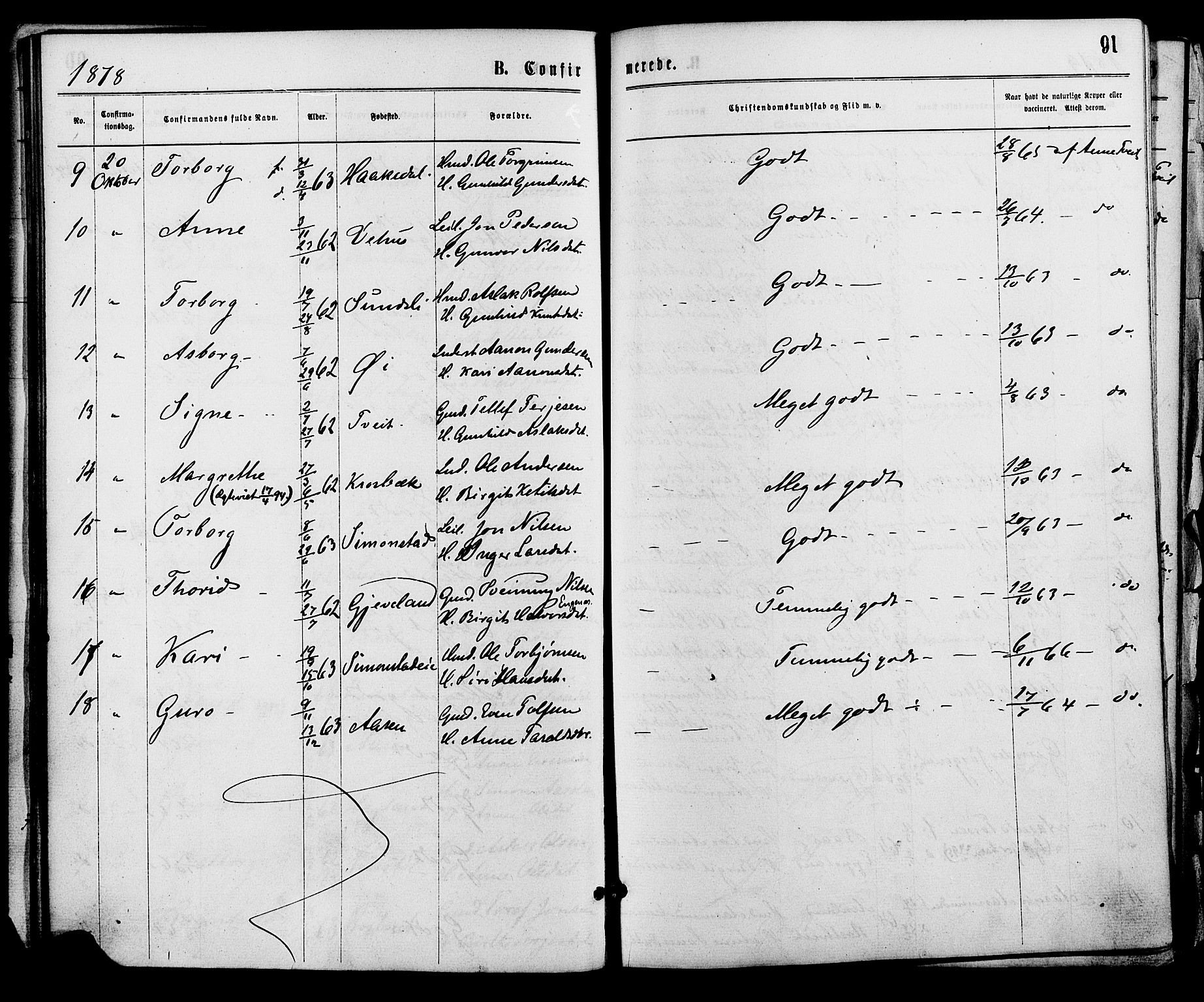 Åmli sokneprestkontor, AV/SAK-1111-0050/F/Fa/Fac/L0009: Parish register (official) no. A 9 /1, 1869-1884, p. 91