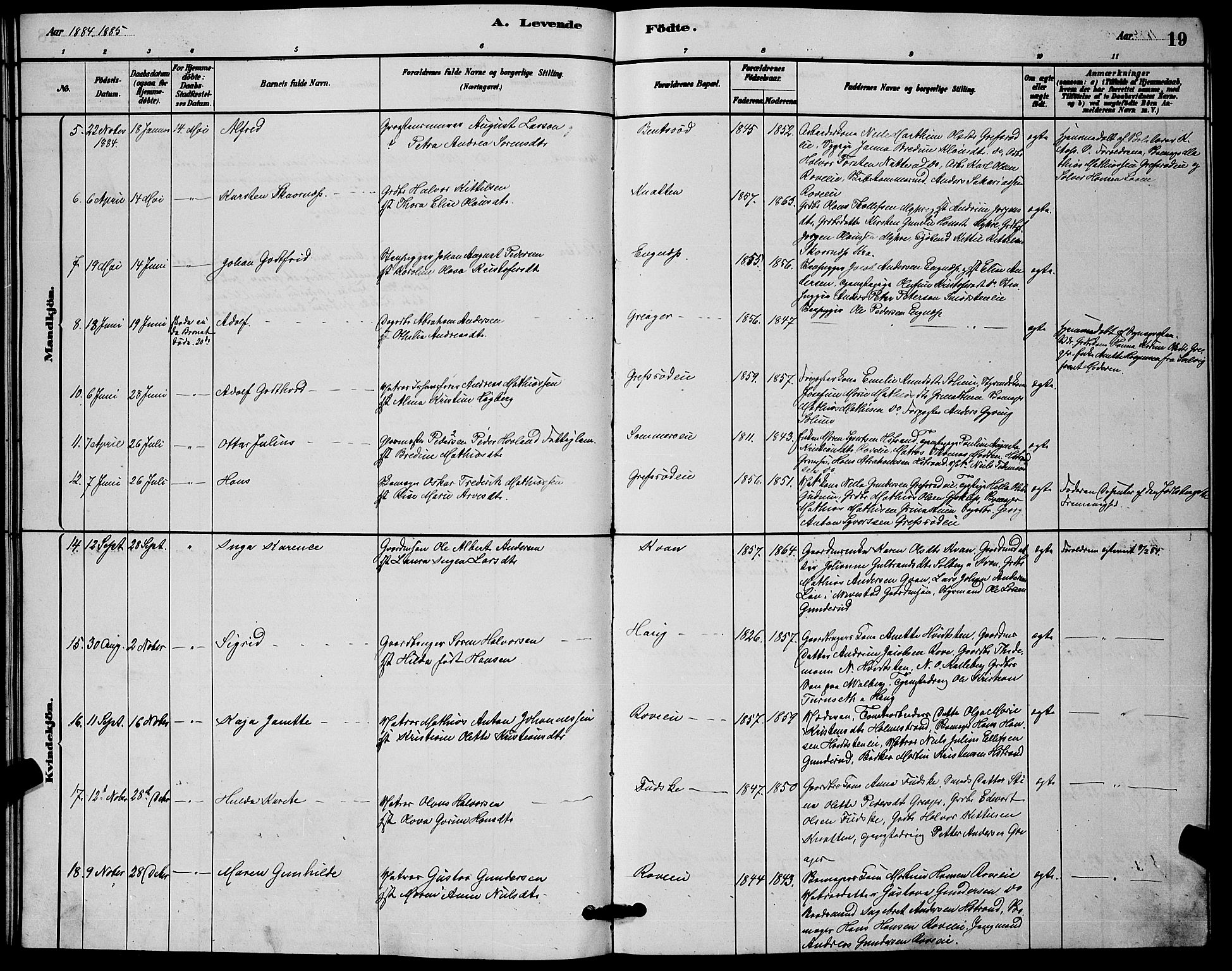 Botne kirkebøker, SAKO/A-340/G/Ga/L0003: Parish register (copy) no. I 3, 1878-1898, p. 19