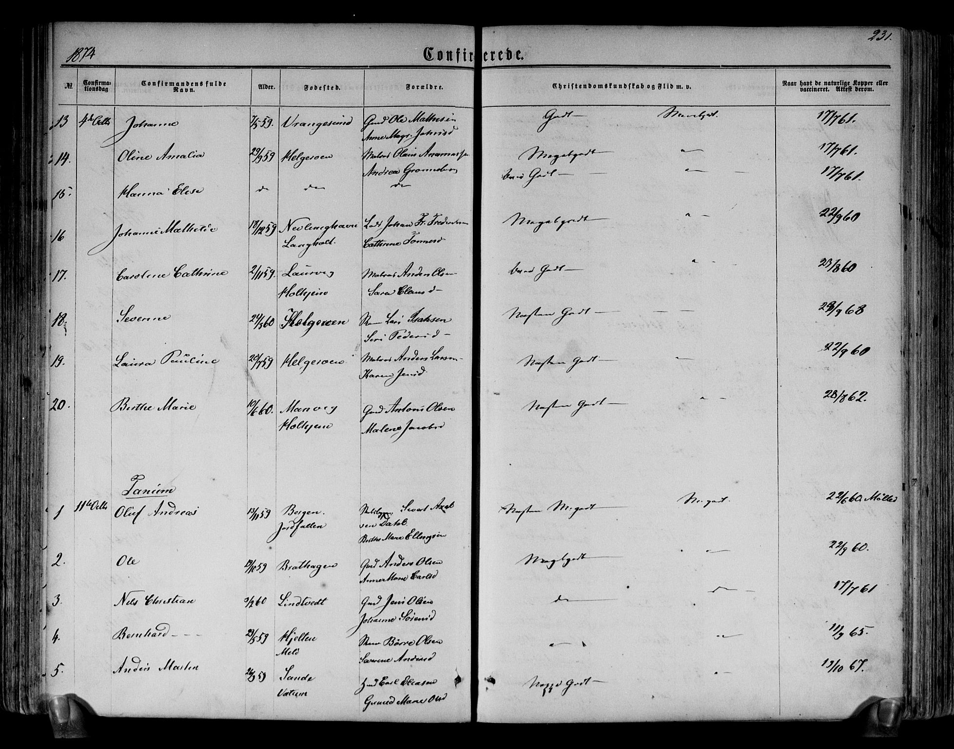 Brunlanes kirkebøker, AV/SAKO-A-342/F/Fa/L0005: Parish register (official) no. I 5, 1862-1877, p. 231