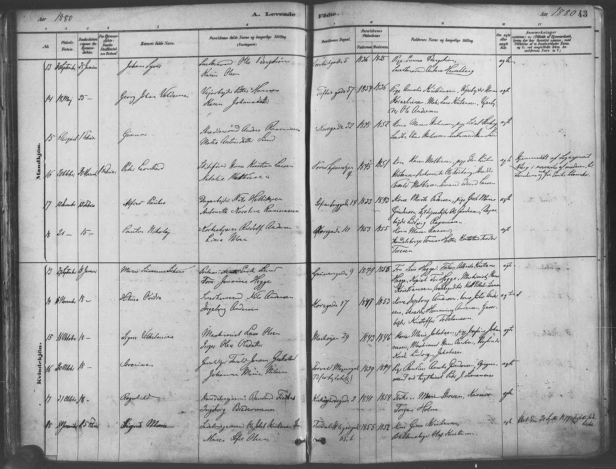 Paulus prestekontor Kirkebøker, AV/SAO-A-10871/F/Fa/L0003: Parish register (official) no. 3, 1879-1887, p. 43