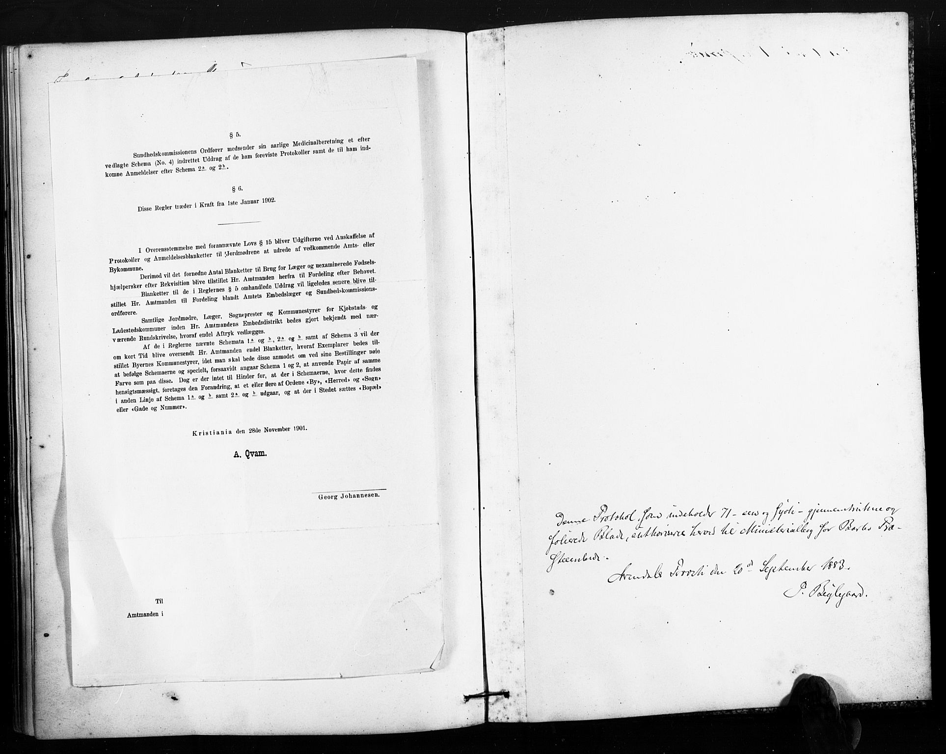 Barbu sokneprestkontor, AV/SAK-1111-0003/F/Fa/L0004: Parish register (official) no. A 4, 1883-1909