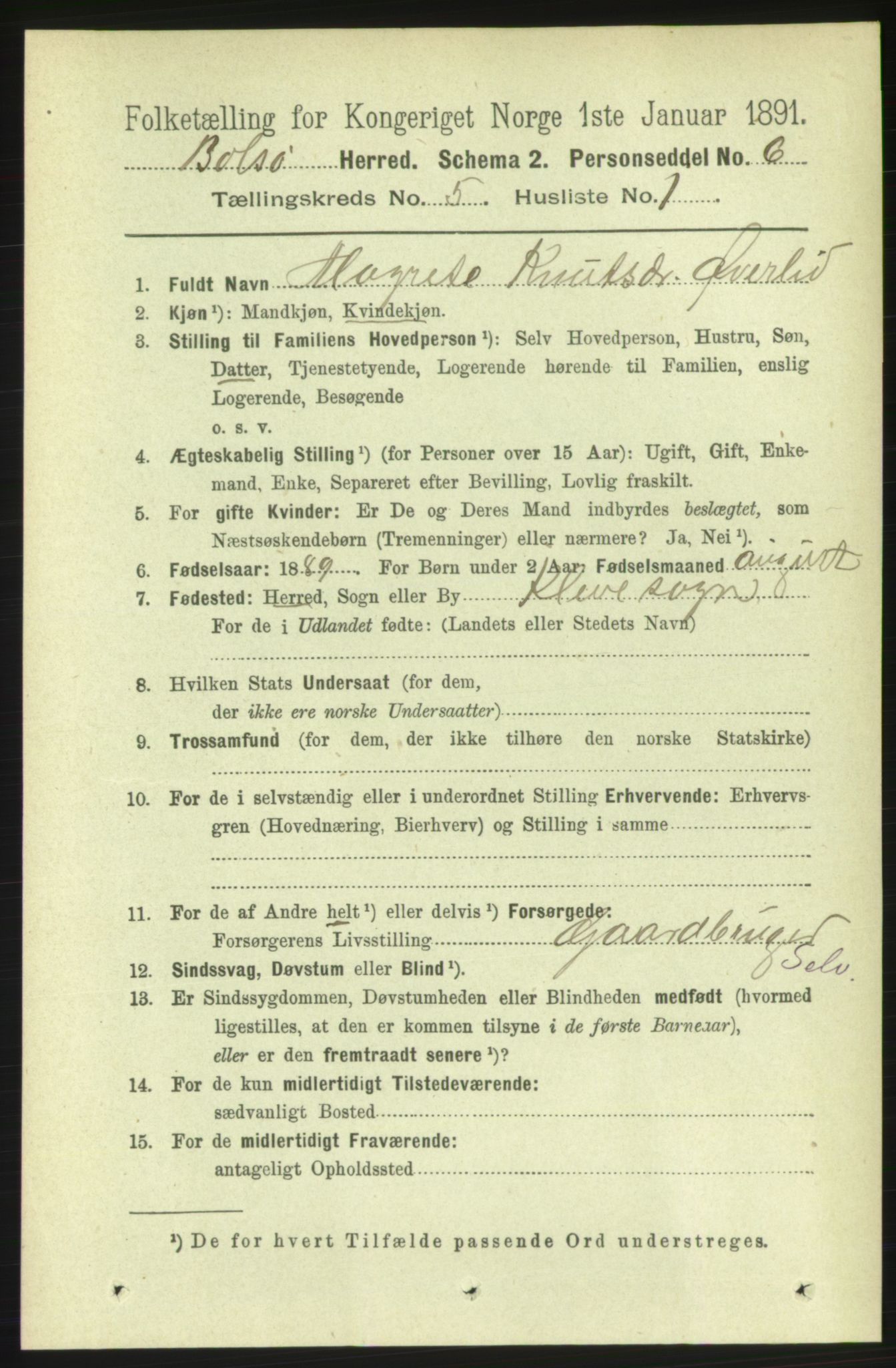 RA, 1891 census for 1544 Bolsøy, 1891, p. 3135