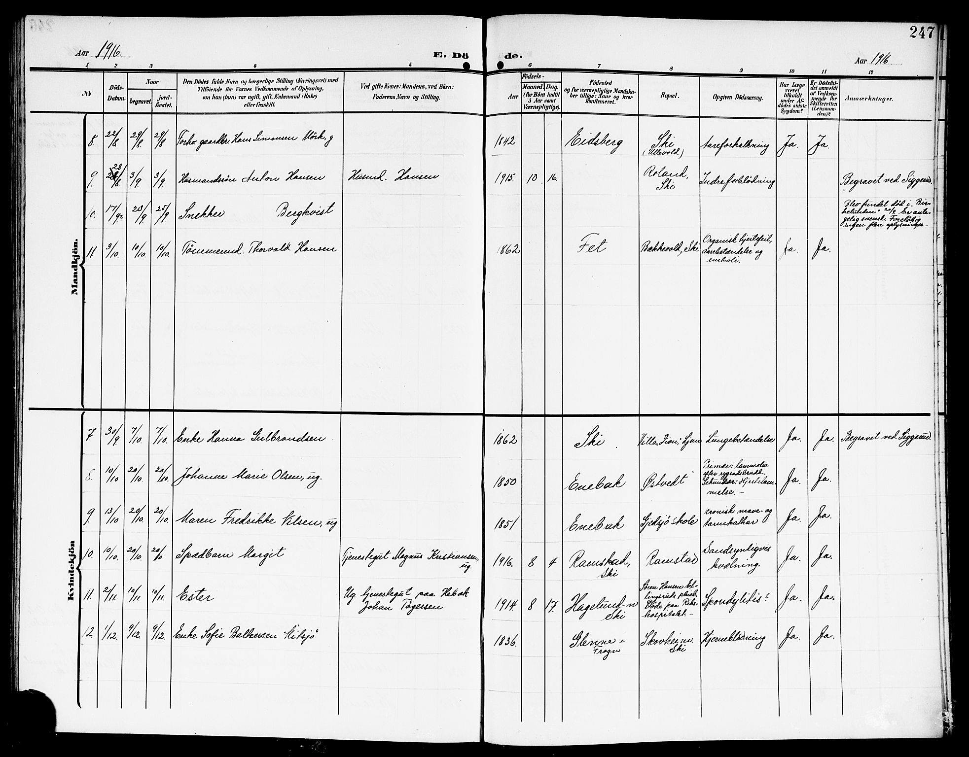 Kråkstad prestekontor Kirkebøker, SAO/A-10125a/G/Gb/L0001: Parish register (copy) no. II 1, 1905-1920, p. 247