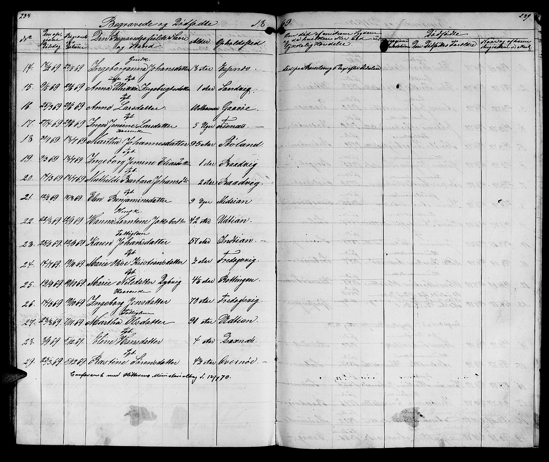 Ministerialprotokoller, klokkerbøker og fødselsregistre - Sør-Trøndelag, SAT/A-1456/640/L0583: Parish register (copy) no. 640C01, 1866-1877, p. 238-239