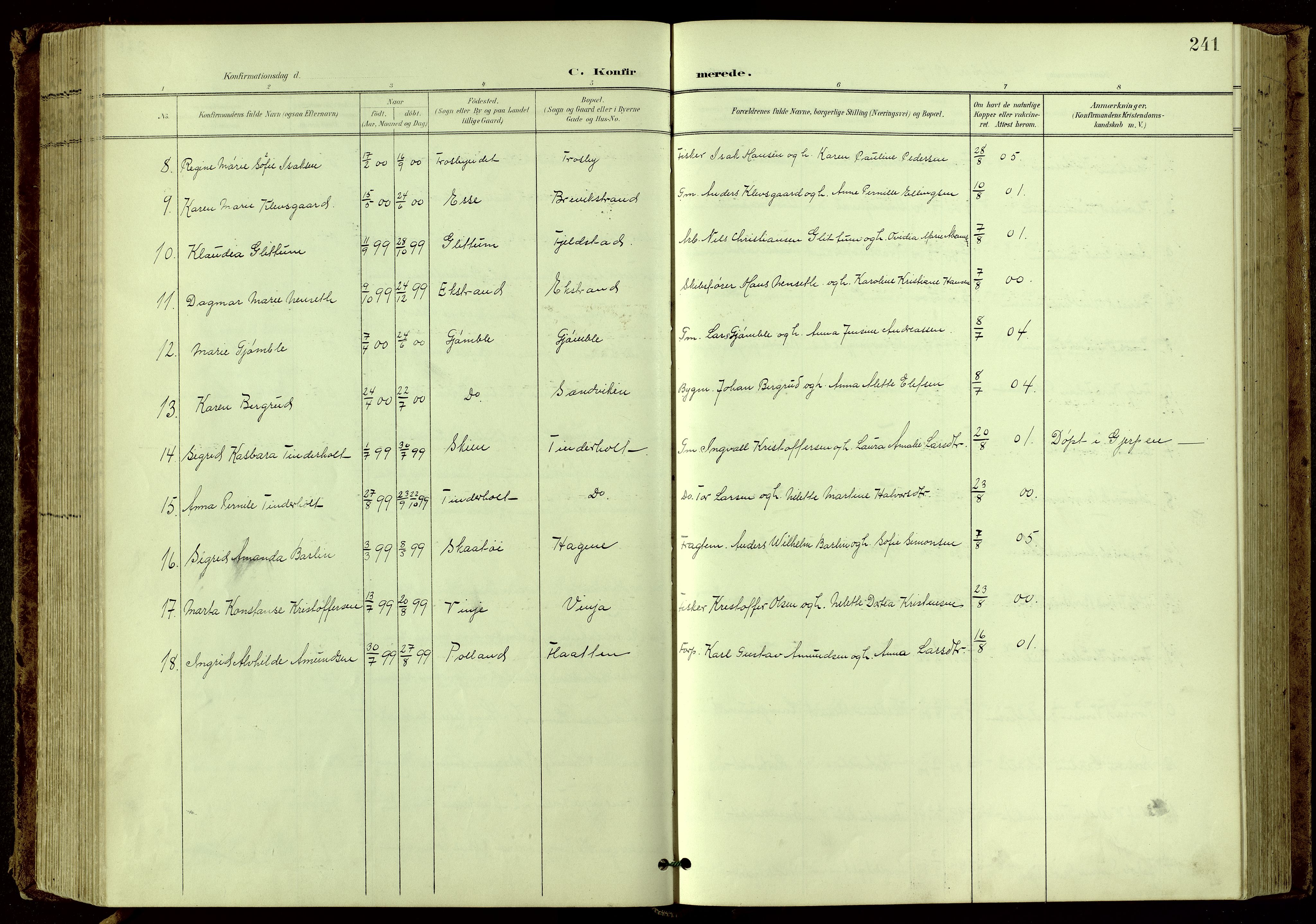 Bamble kirkebøker, SAKO/A-253/G/Ga/L0010: Parish register (copy) no. I 10, 1901-1919, p. 241