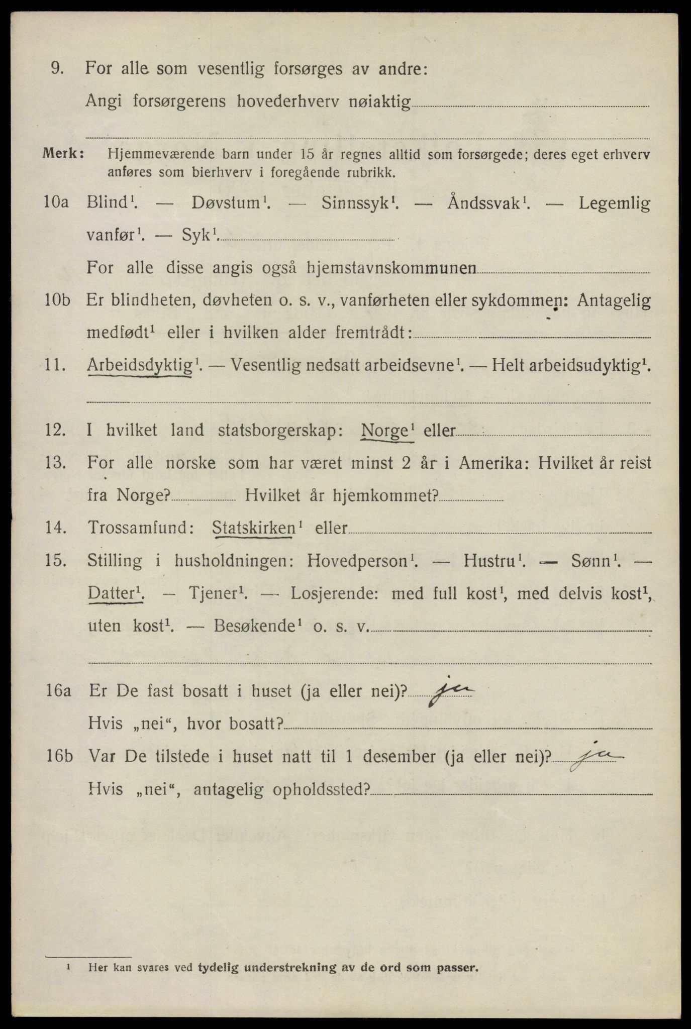 SAO, 1920 census for Nes, 1920, p. 16439