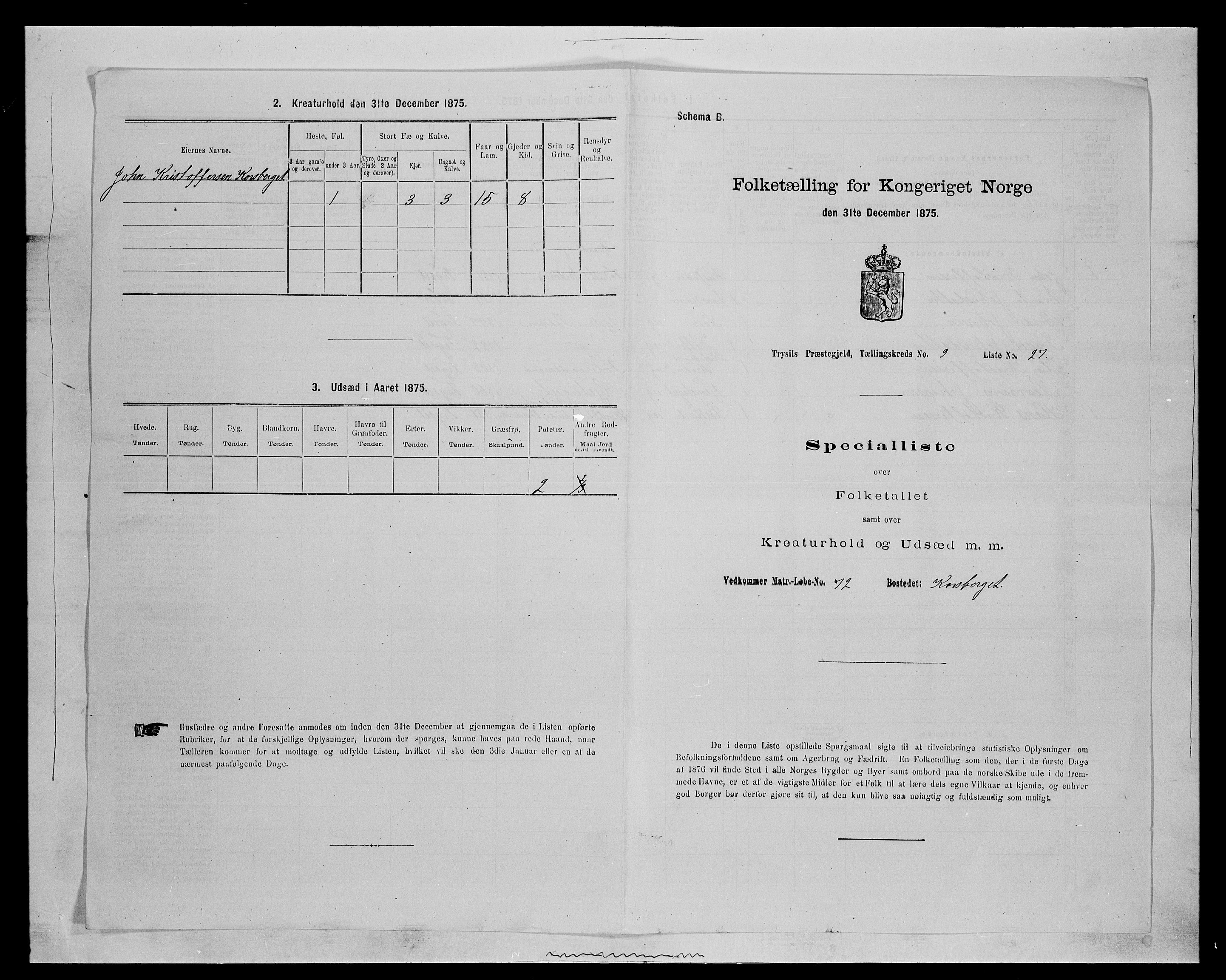 SAH, 1875 census for 0428P Trysil, 1875, p. 1129