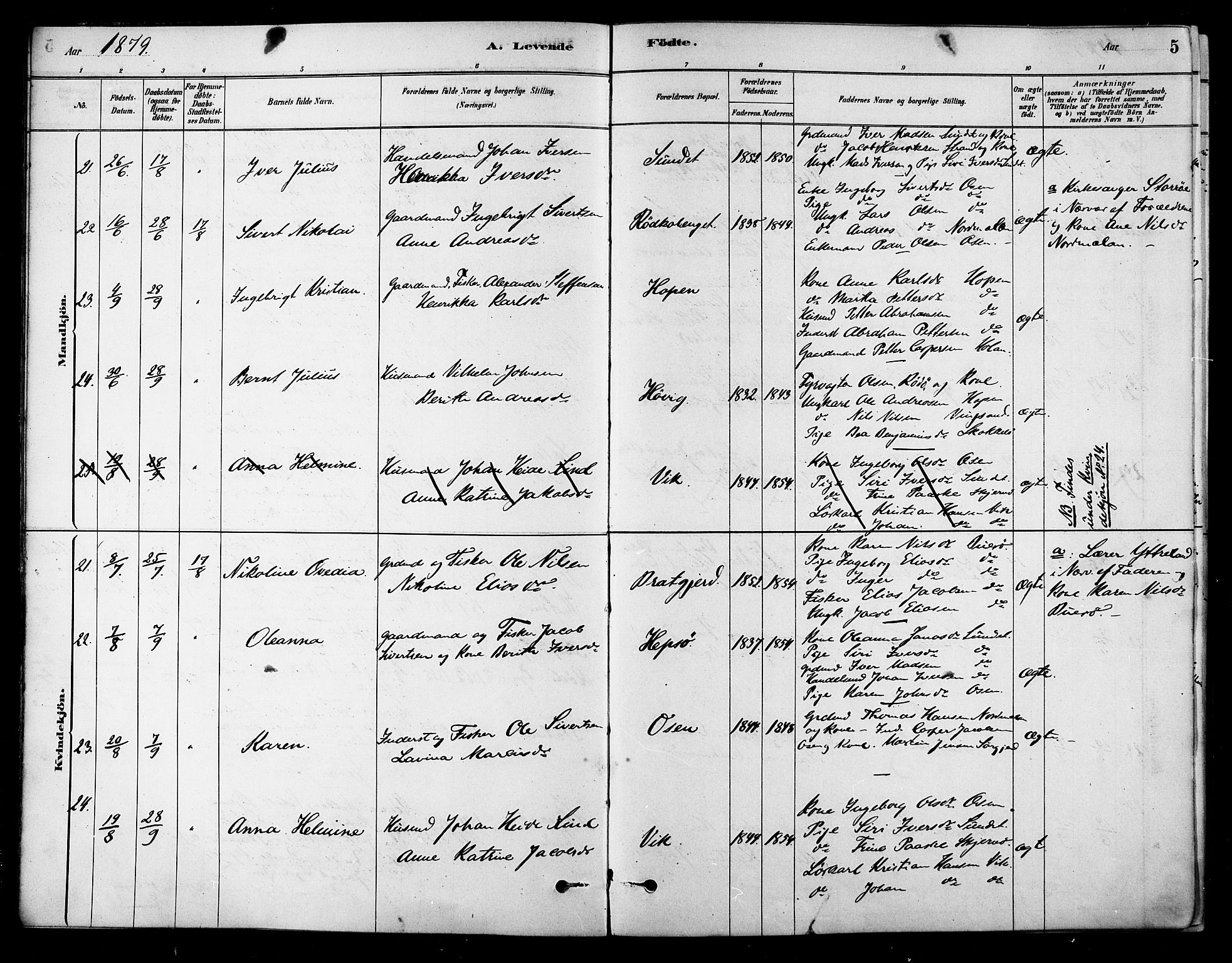 Ministerialprotokoller, klokkerbøker og fødselsregistre - Sør-Trøndelag, AV/SAT-A-1456/658/L0722: Parish register (official) no. 658A01, 1879-1896, p. 5