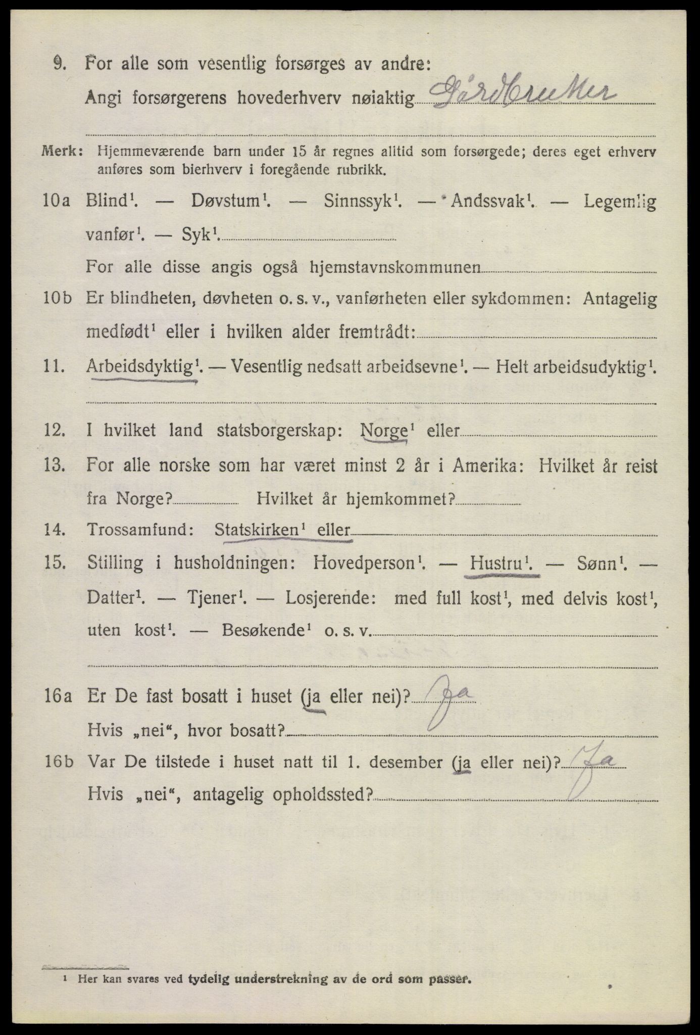 SAKO, 1920 census for Hol (Buskerud), 1920, p. 1198