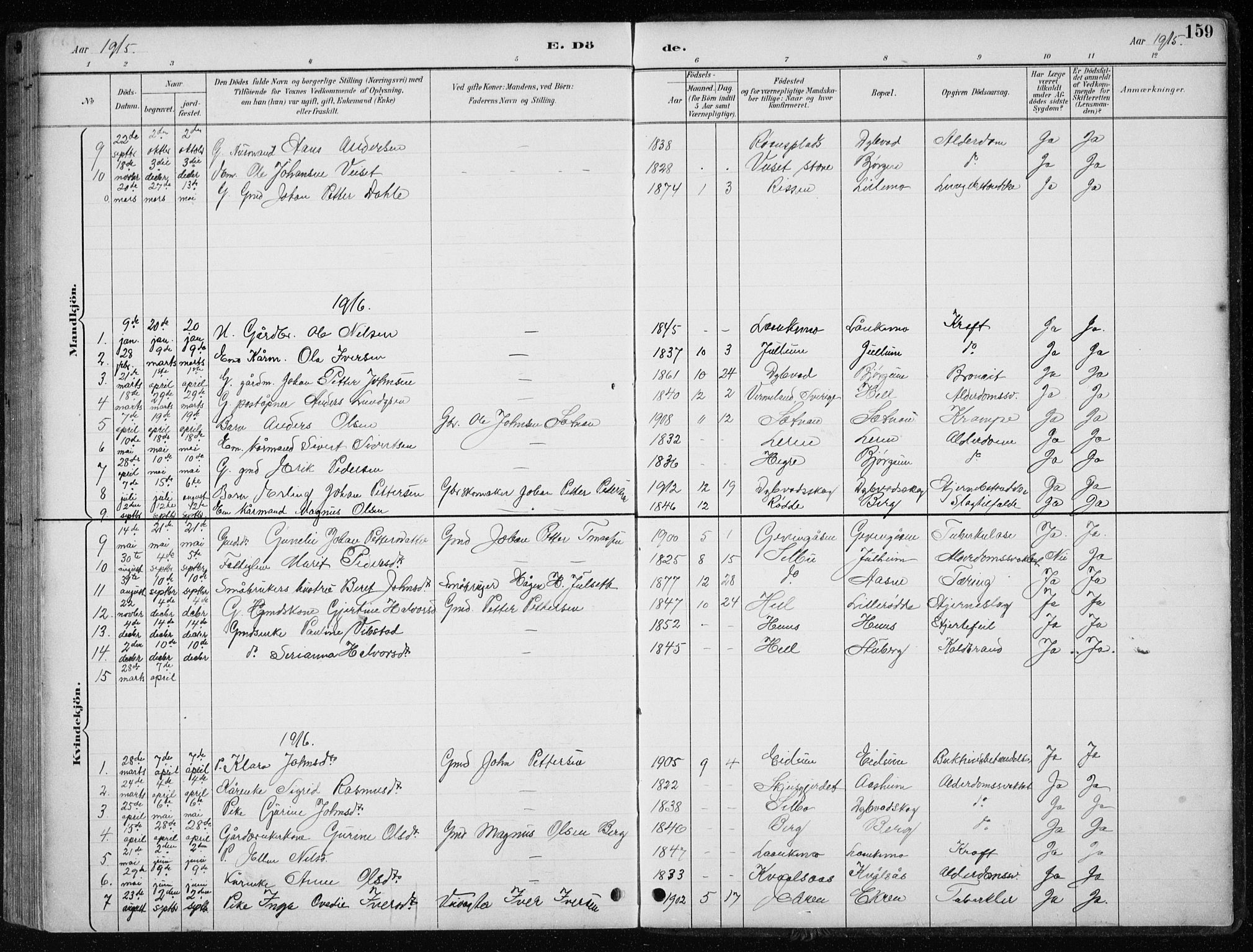 Ministerialprotokoller, klokkerbøker og fødselsregistre - Nord-Trøndelag, SAT/A-1458/710/L0096: Parish register (copy) no. 710C01, 1892-1925, p. 159
