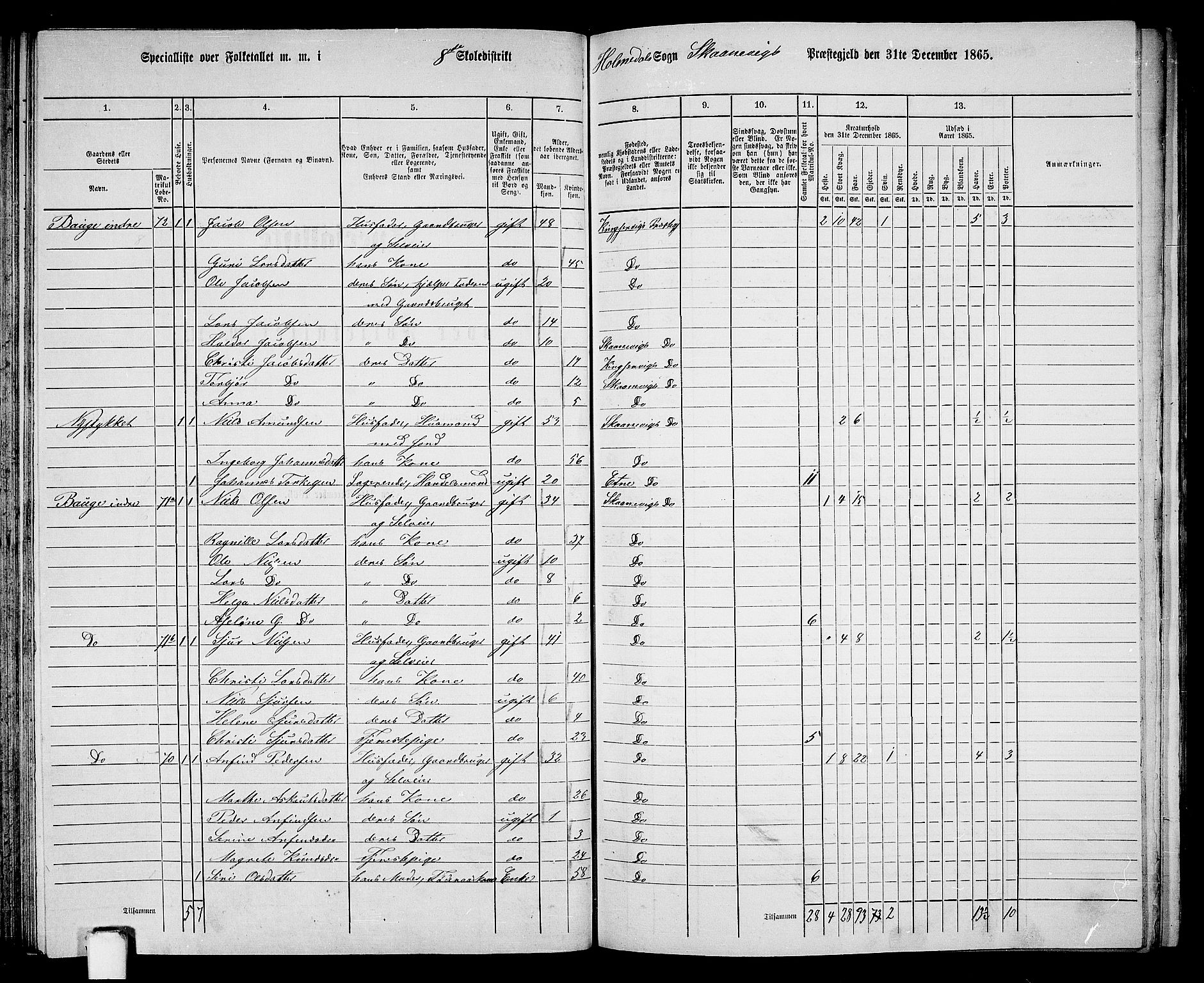 RA, 1865 census for Skånevik, 1865, p. 115