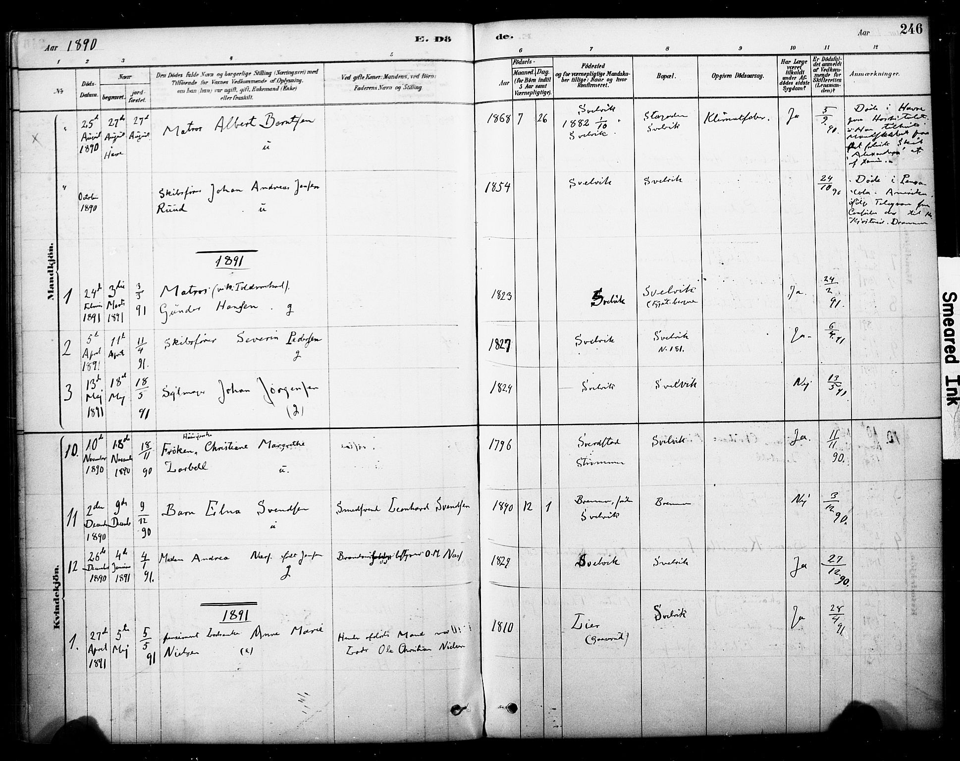 Strømm kirkebøker, AV/SAKO-A-322/F/Fb/L0001: Parish register (official) no. II 1, 1878-1899, p. 246