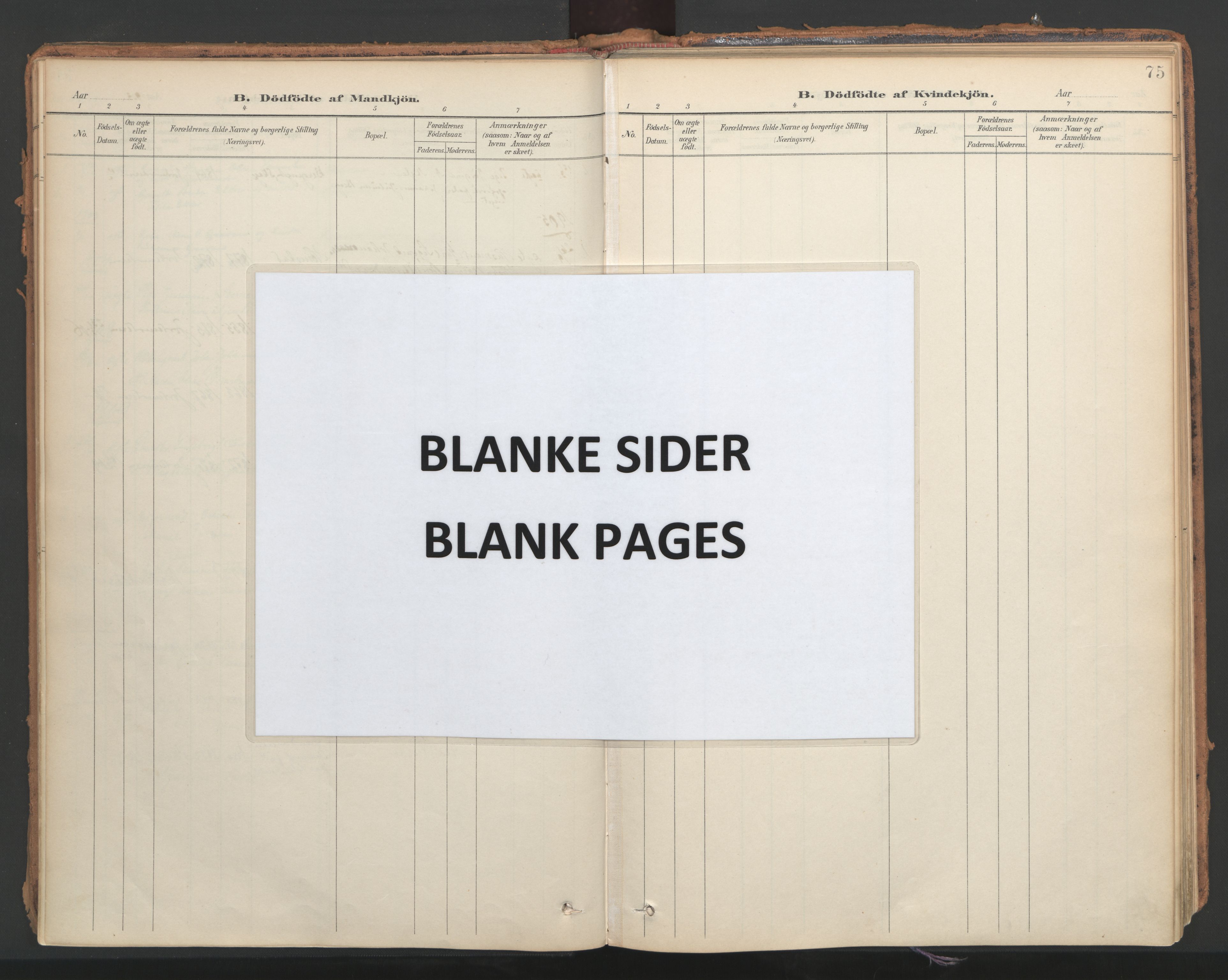 Ministerialprotokoller, klokkerbøker og fødselsregistre - Nord-Trøndelag, SAT/A-1458/766/L0564: Parish register (official) no. 767A02, 1900-1932, p. 75