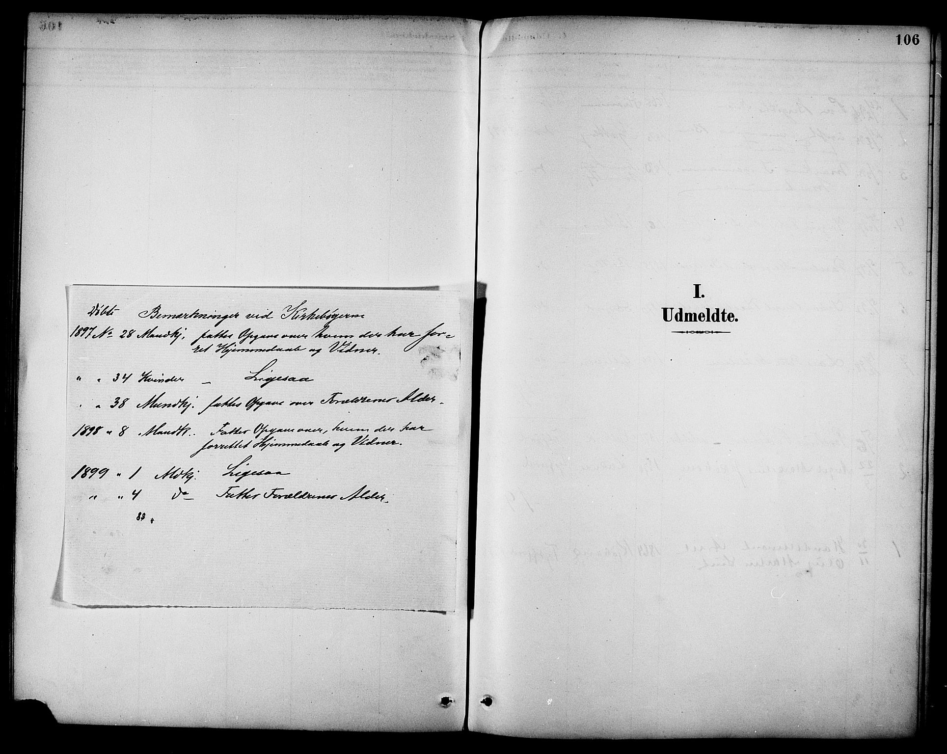 Ministerialprotokoller, klokkerbøker og fødselsregistre - Nordland, AV/SAT-A-1459/861/L0870: Parish register (official) no. 861A05, 1889-1903, p. 106