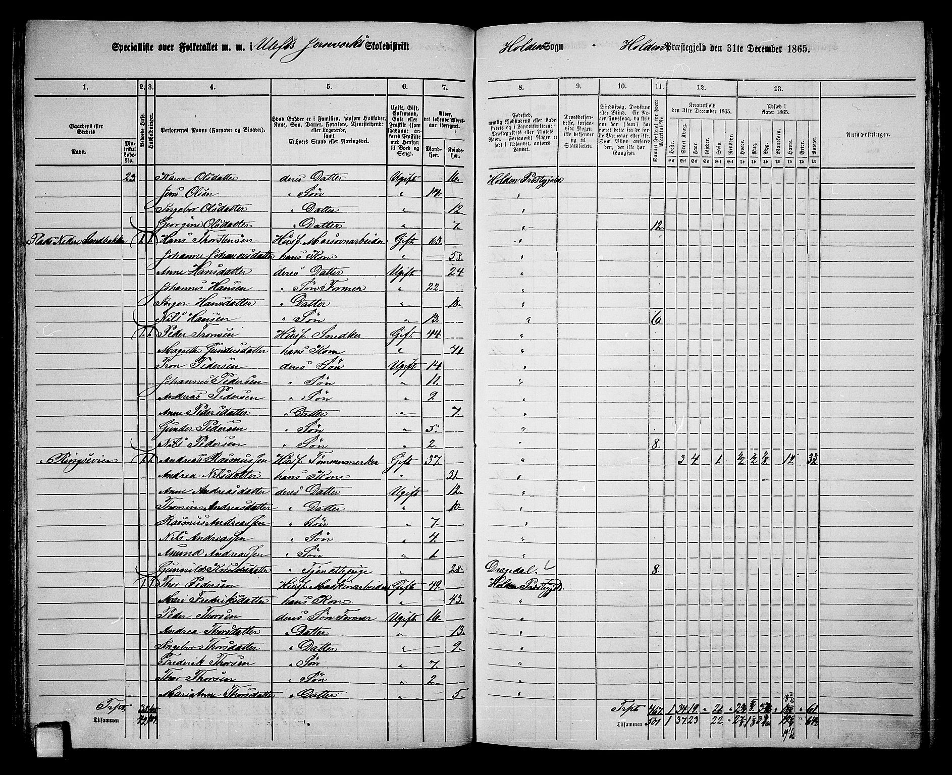 RA, 1865 census for Holla, 1865, p. 64