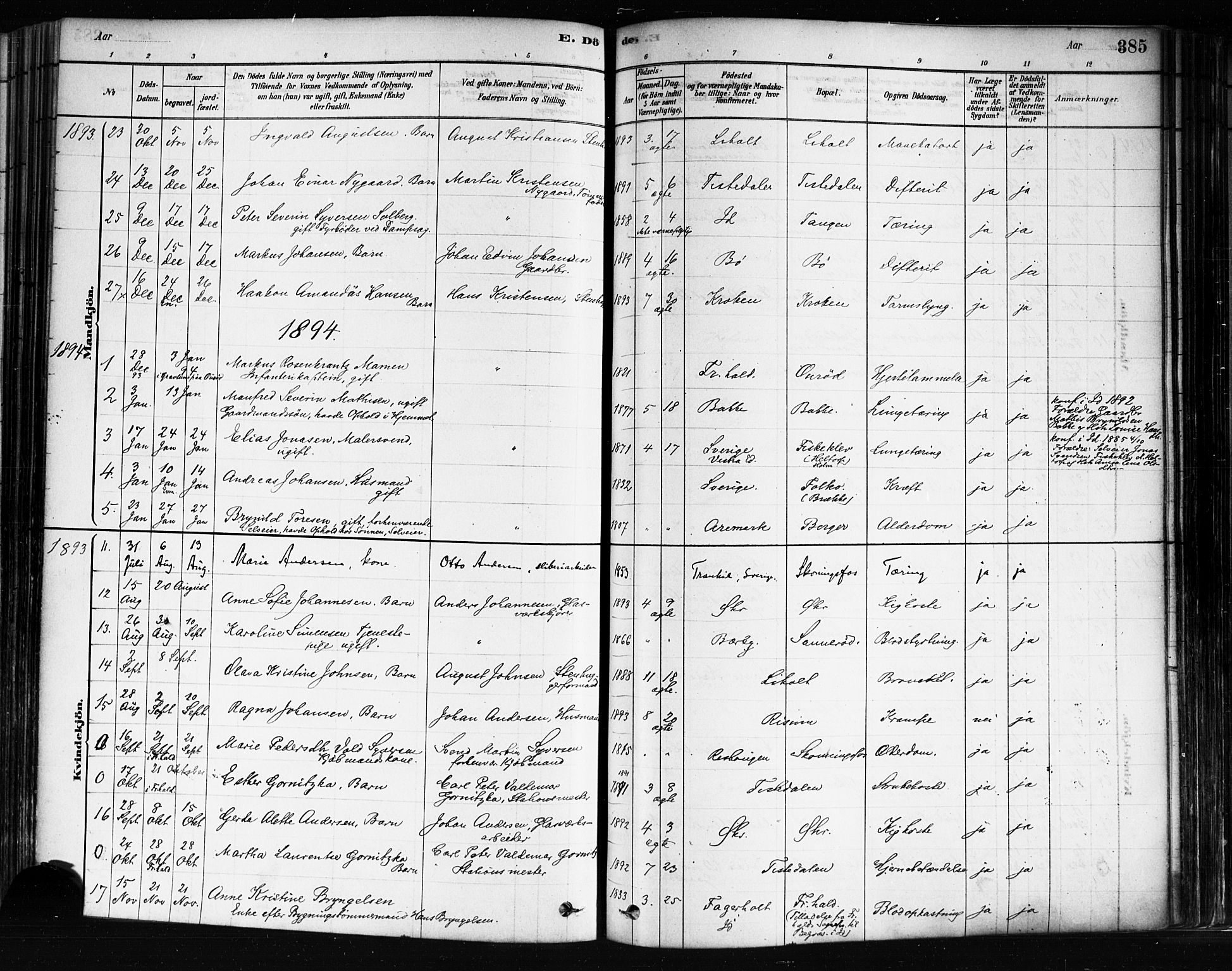 Idd prestekontor Kirkebøker, SAO/A-10911/F/Fc/L0006b: Parish register (official) no. III 6B, 1878-1903, p. 385