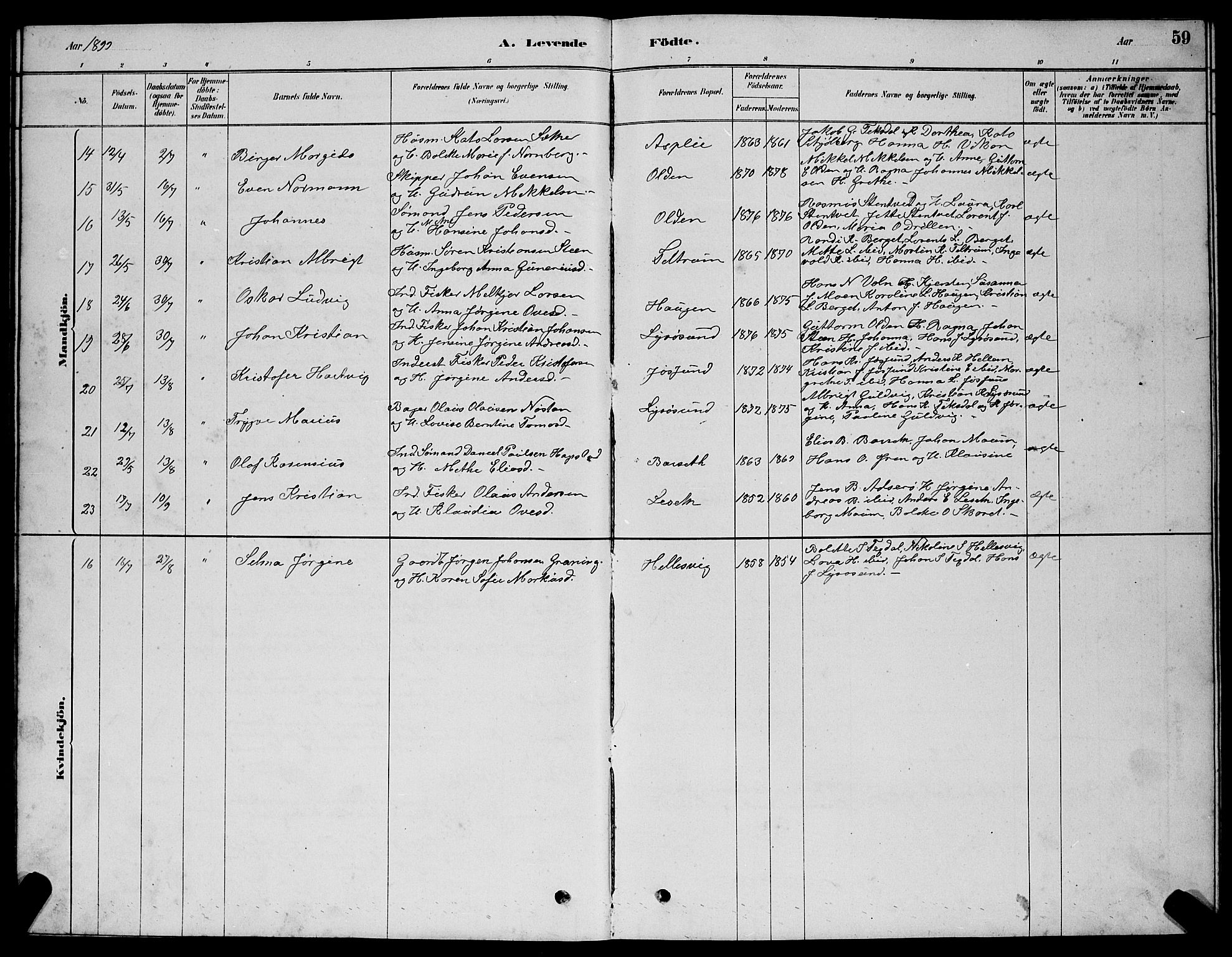 Ministerialprotokoller, klokkerbøker og fødselsregistre - Sør-Trøndelag, SAT/A-1456/654/L0665: Parish register (copy) no. 654C01, 1879-1901, p. 59
