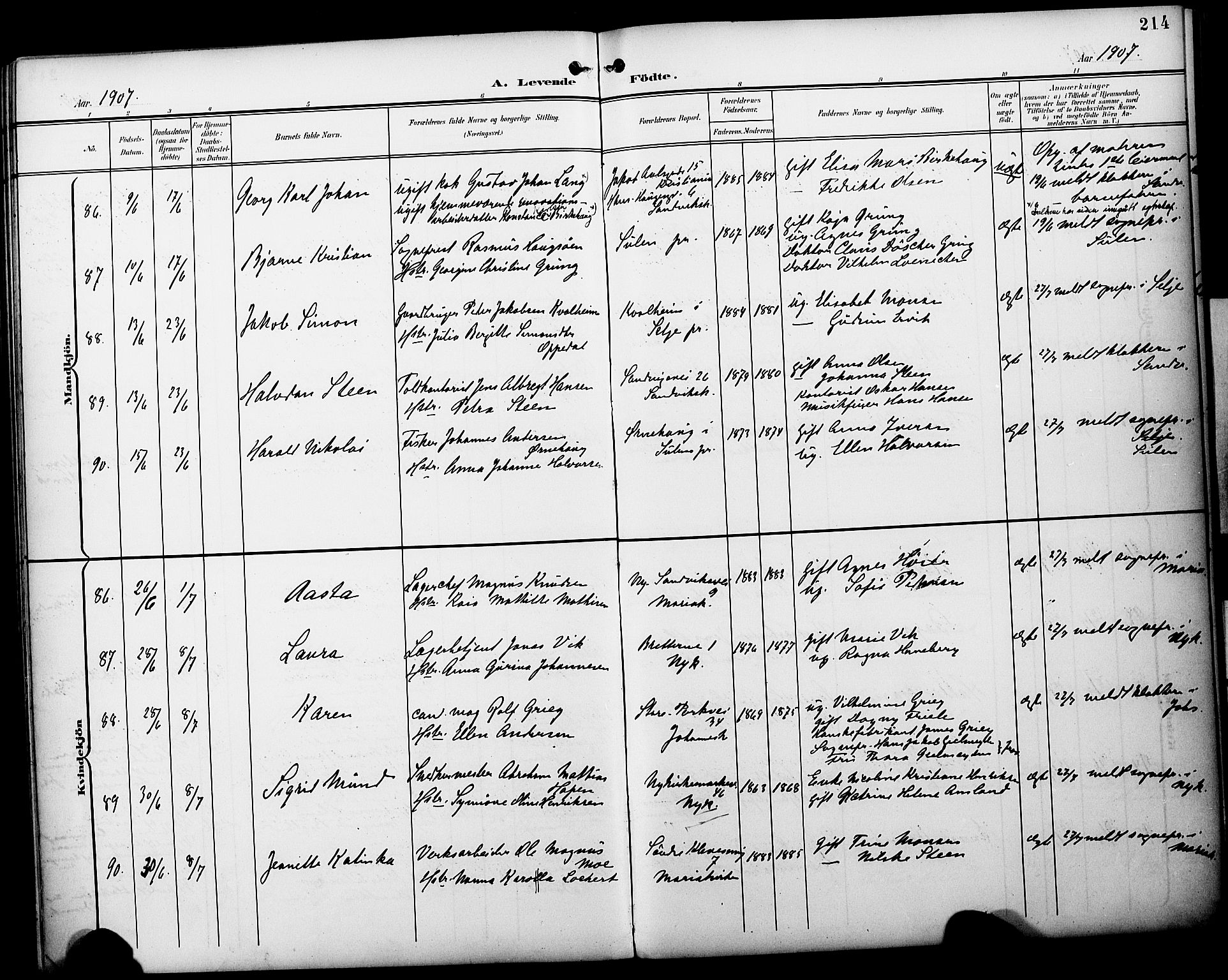 Fødselsstiftelsens sokneprestembete*, SAB/-: Parish register (official) no. A 3, 1901-1910, p. 214