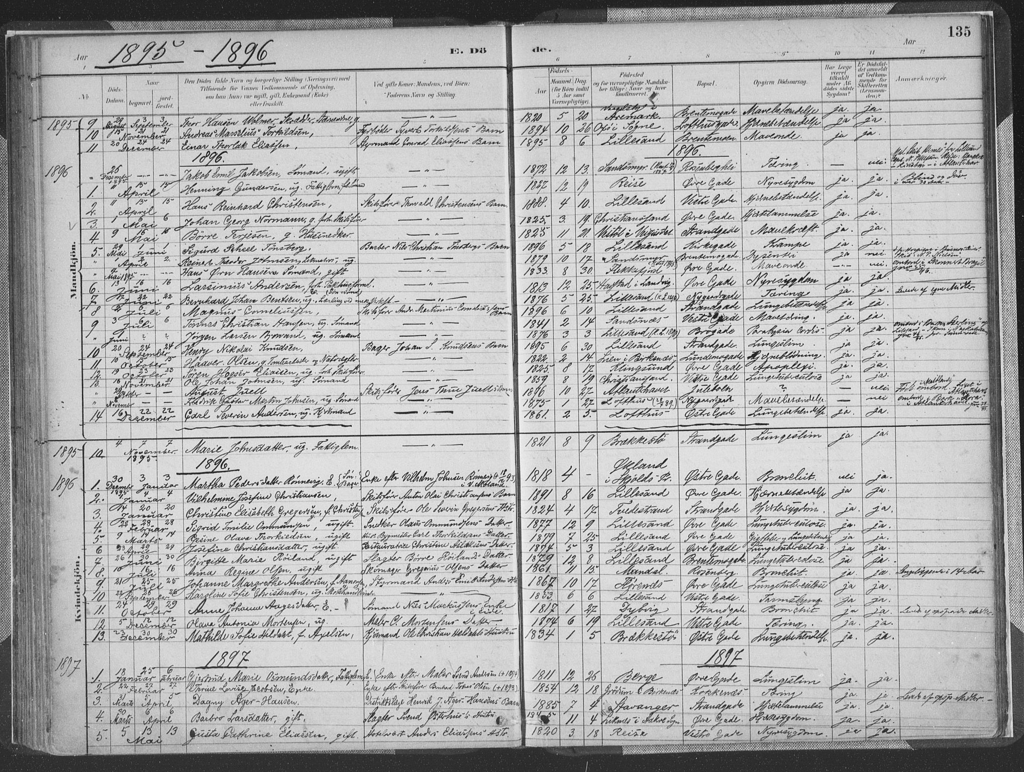 Vestre Moland sokneprestkontor, AV/SAK-1111-0046/F/Fa/Faa/L0001: Parish register (official) no. A 1, 1884-1899, p. 135