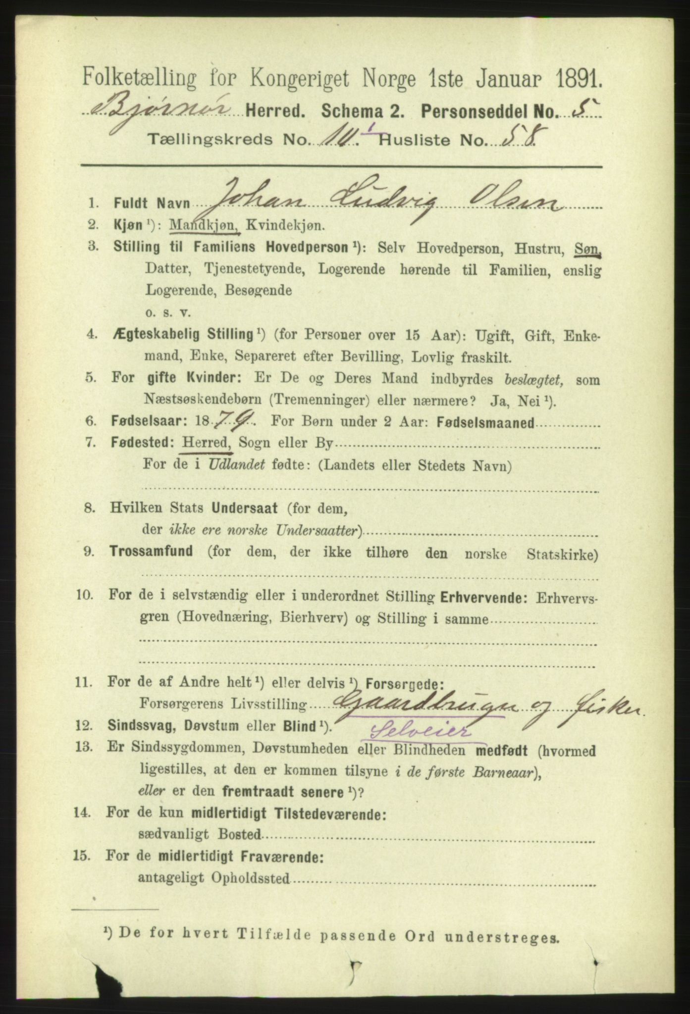 RA, 1891 census for 1632 Bjørnør, 1891, p. 4521