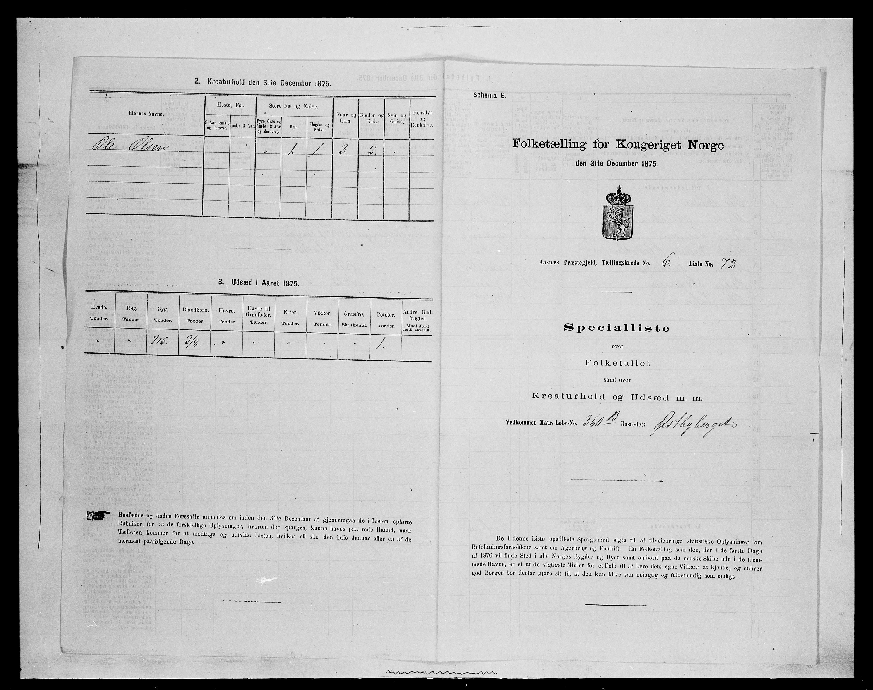 SAH, 1875 census for 0425P Åsnes, 1875, p. 958