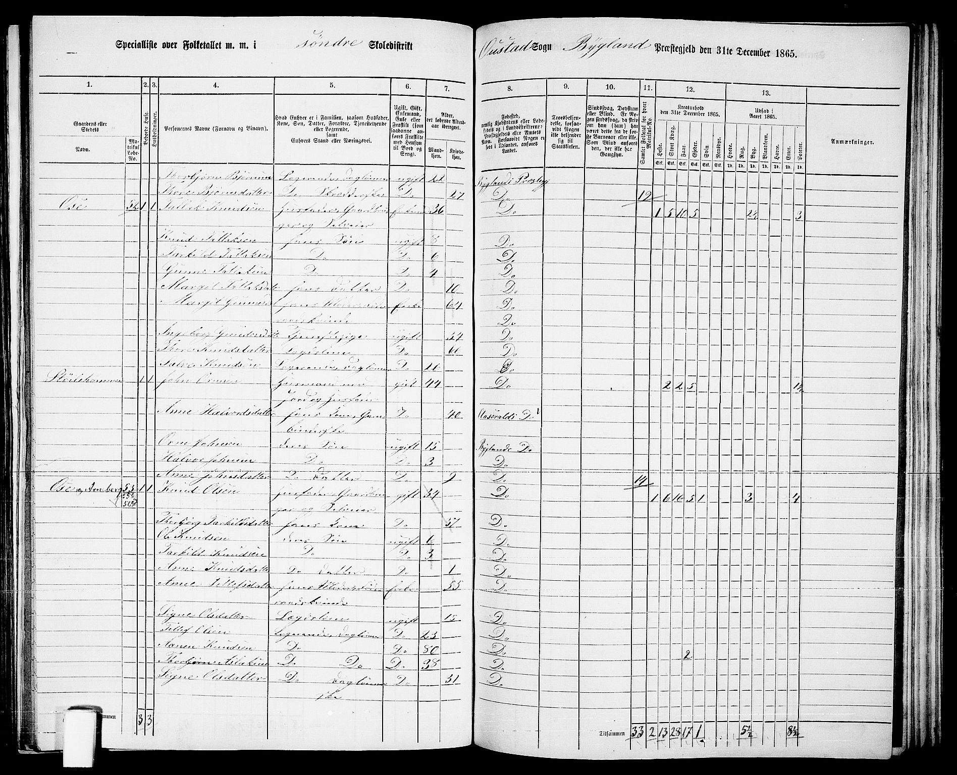 RA, 1865 census for Bygland, 1865, p. 30