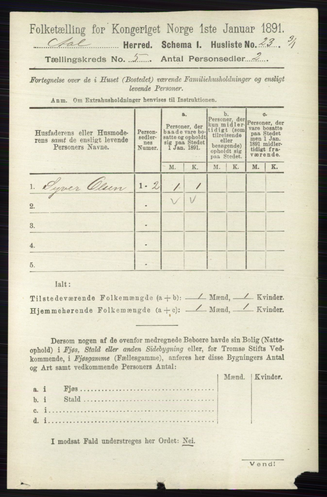 RA, 1891 census for 0619 Ål, 1891, p. 1358