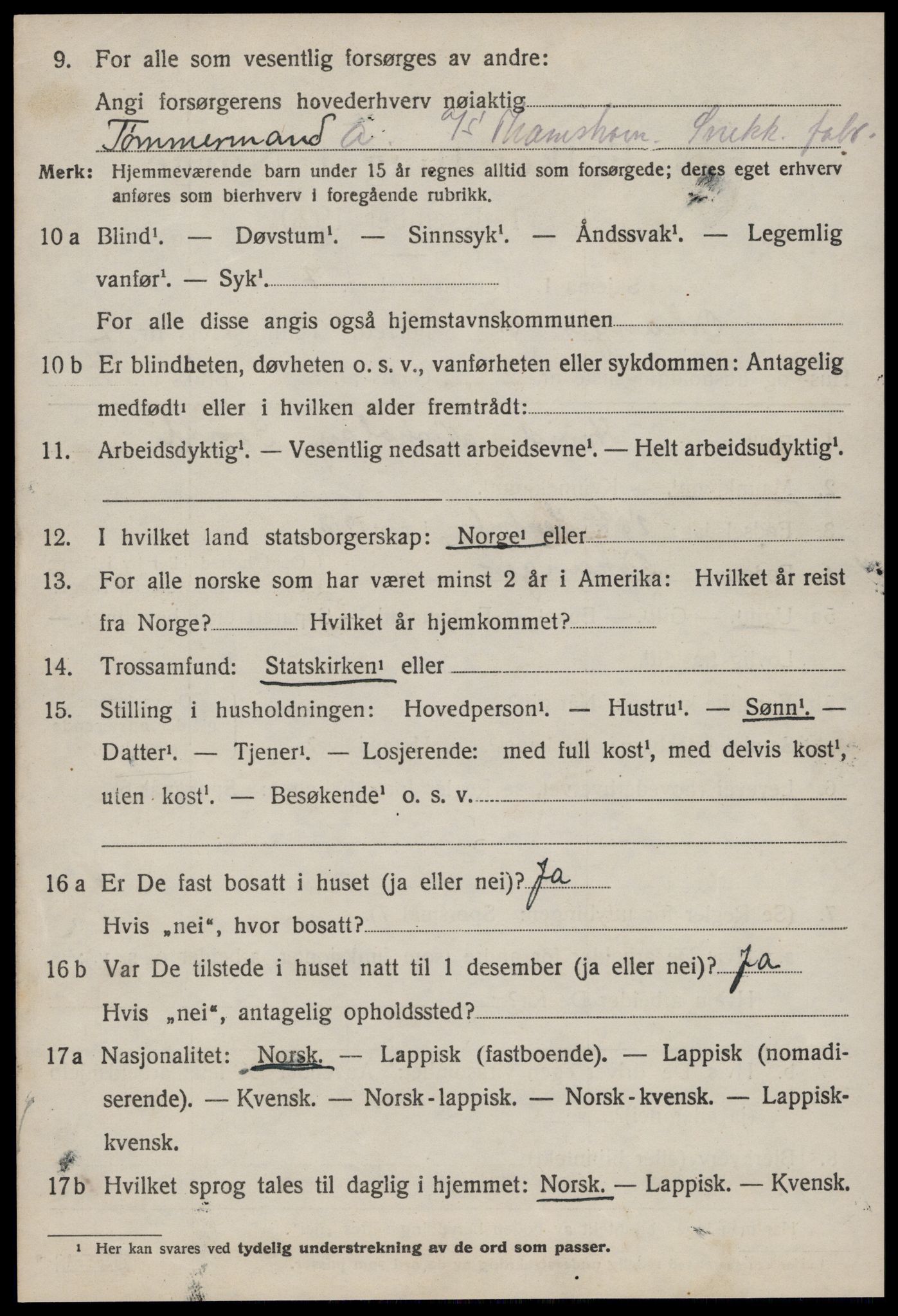 SAT, 1920 census for Orkanger, 1920, p. 1206